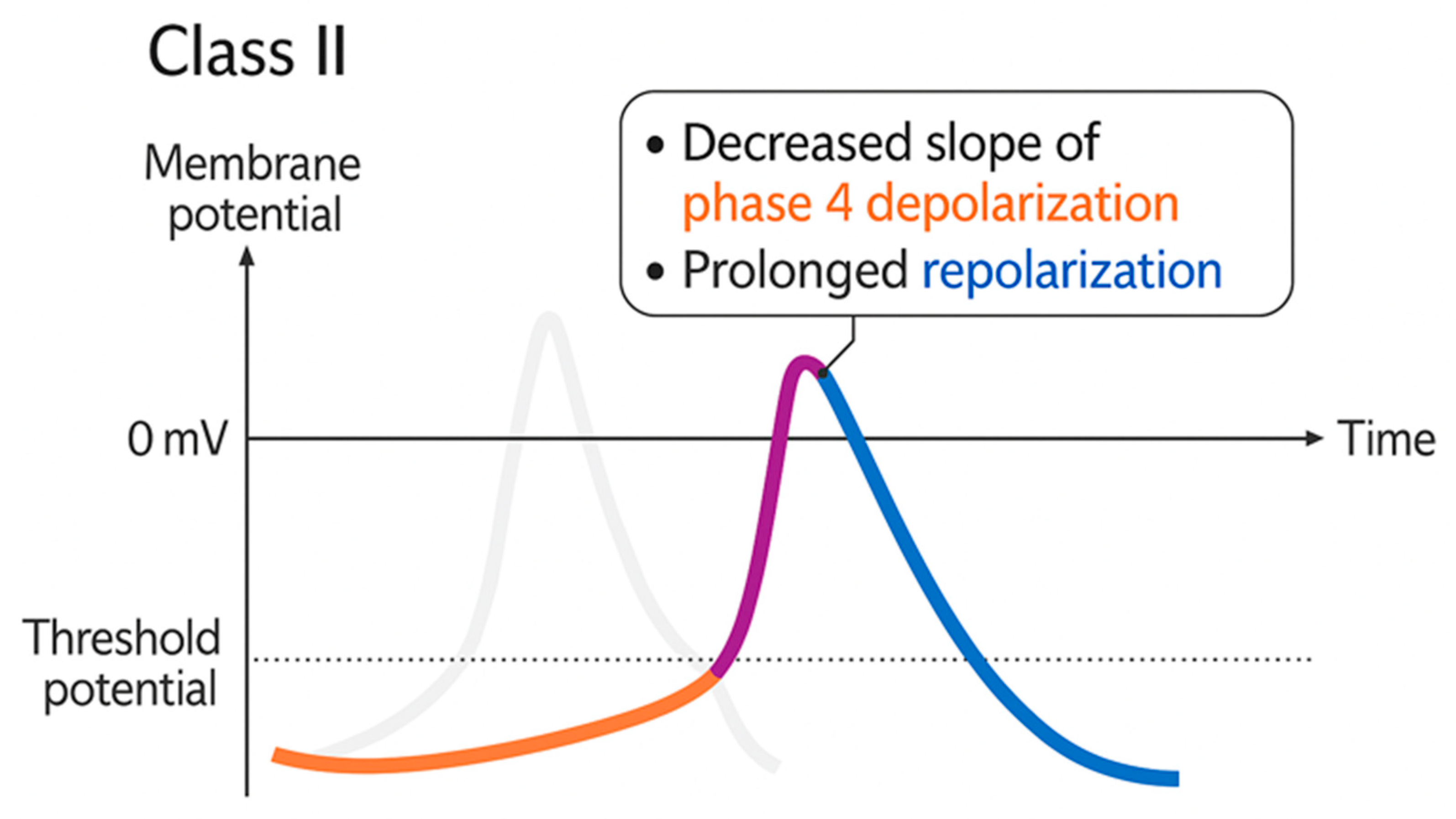 Biomolecules 15 01653 g002