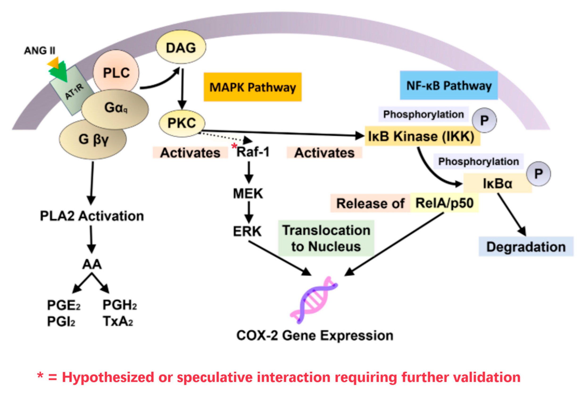 Biomolecules 15 01653 g006