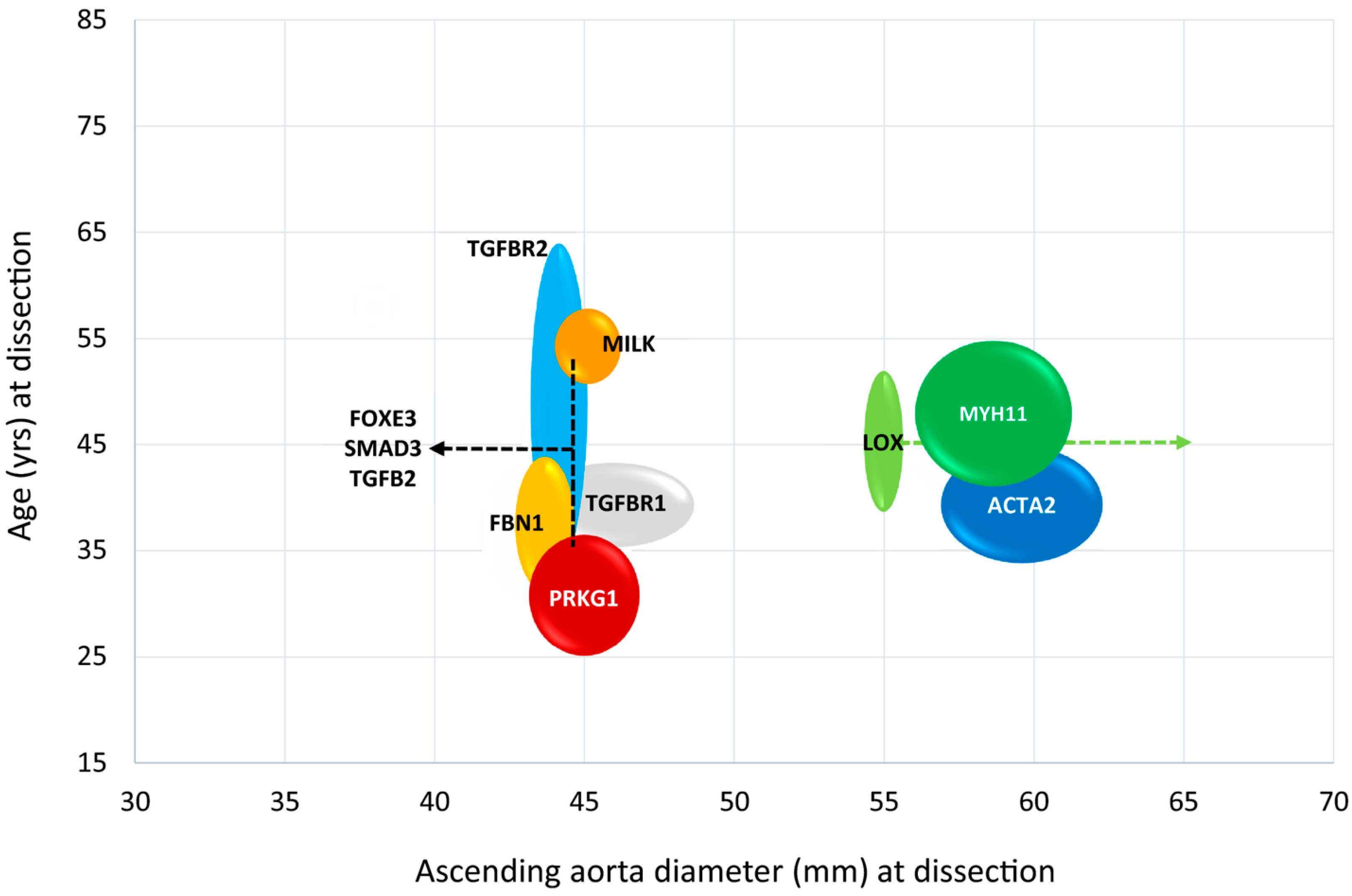 Biomolecules 15 01654 g005