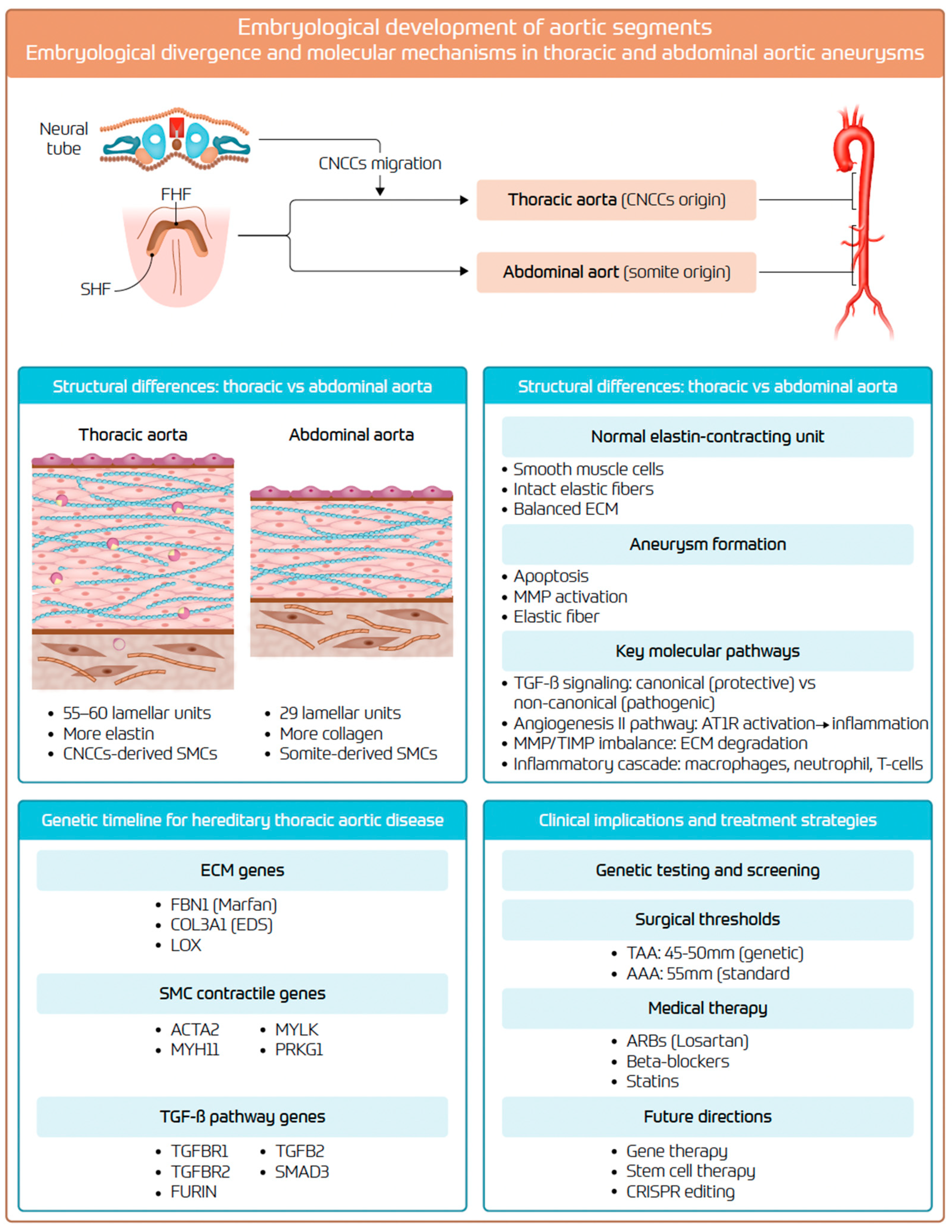 Biomolecules 15 01654 g006