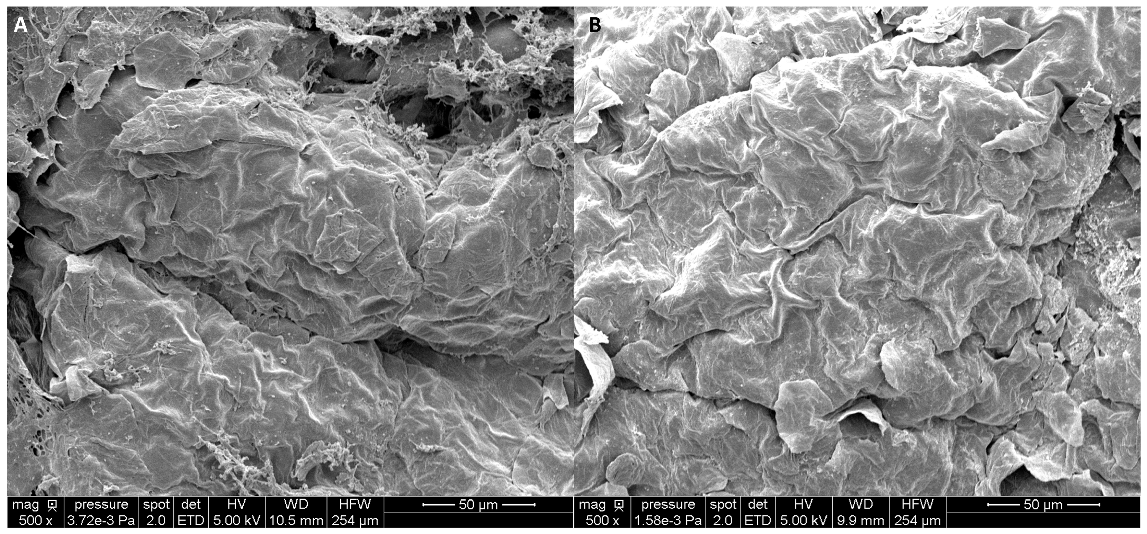 Biomolecules 15 01656 g003