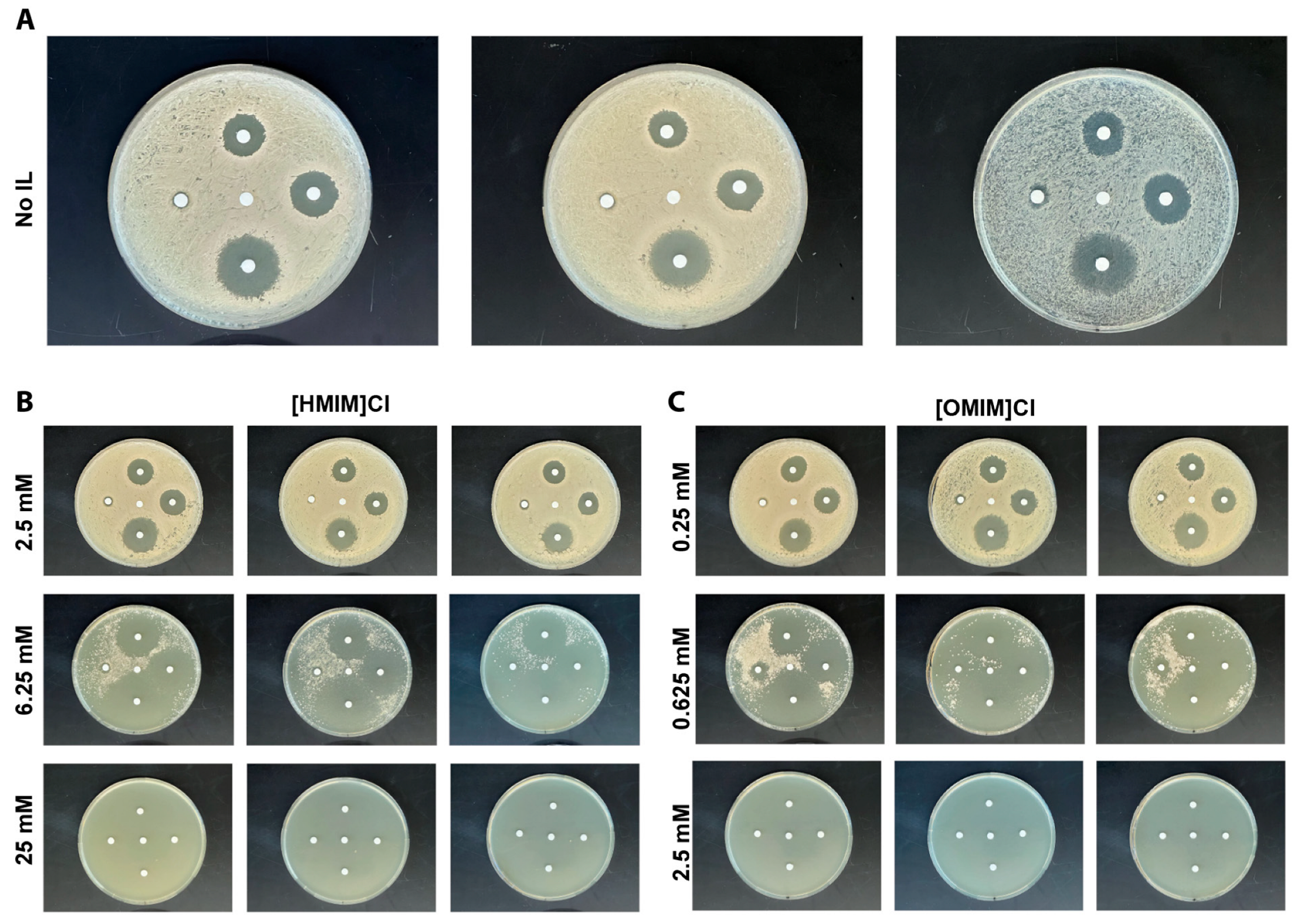 Biomolecules 15 01657 g0a1