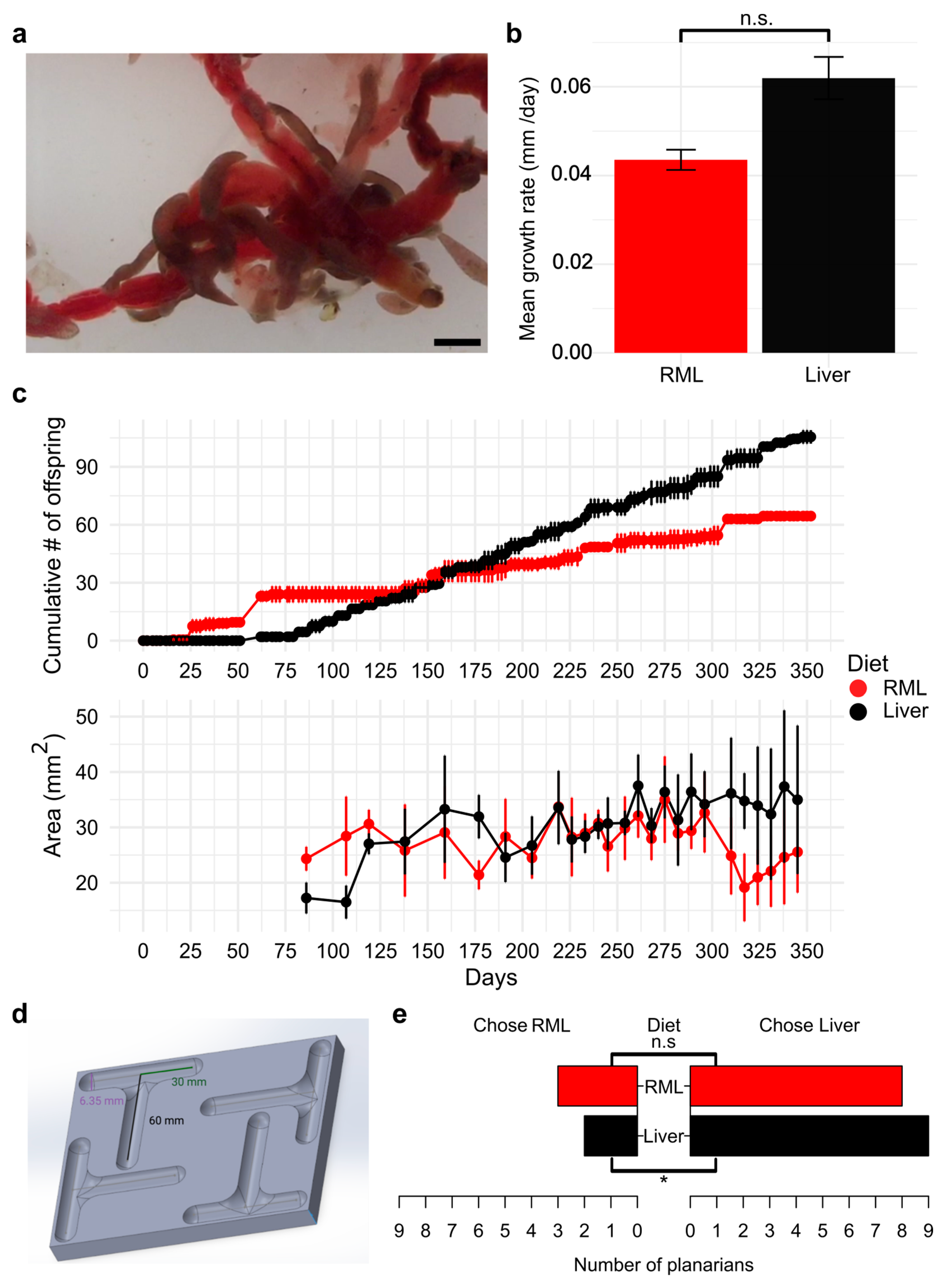 Biomolecules 15 01659 g001