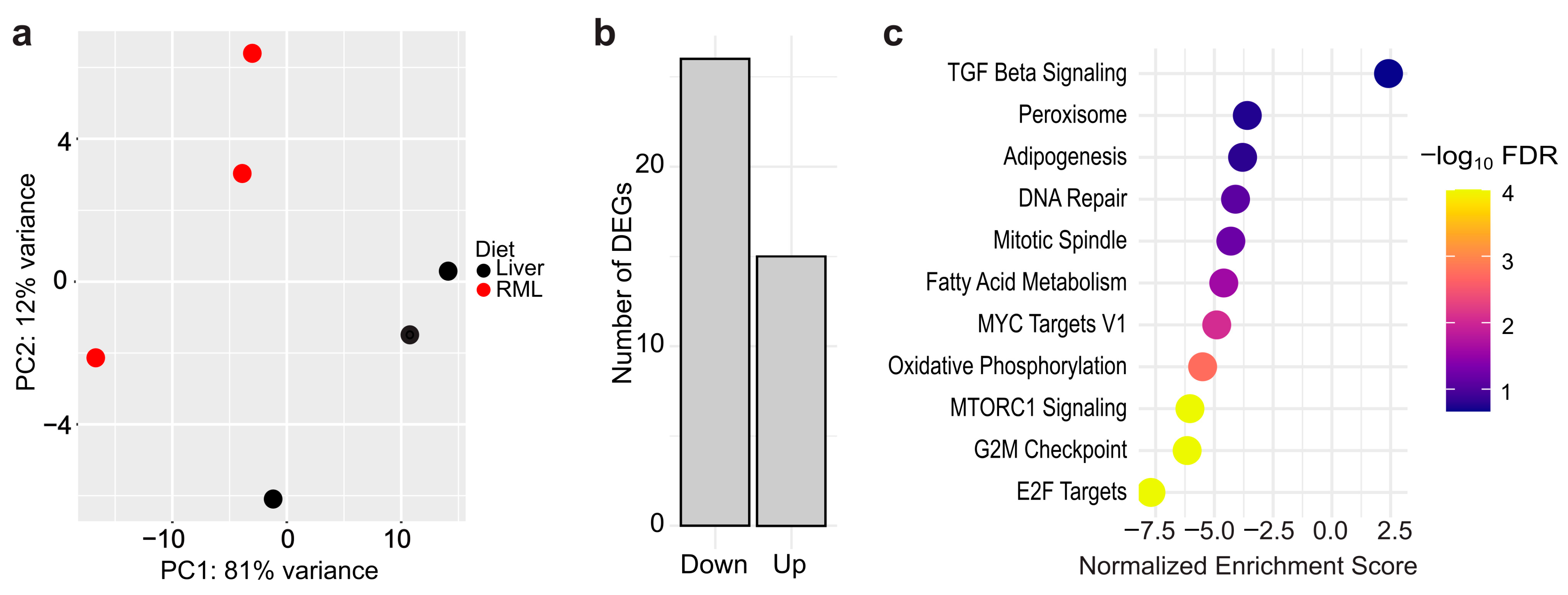Biomolecules 15 01659 g002