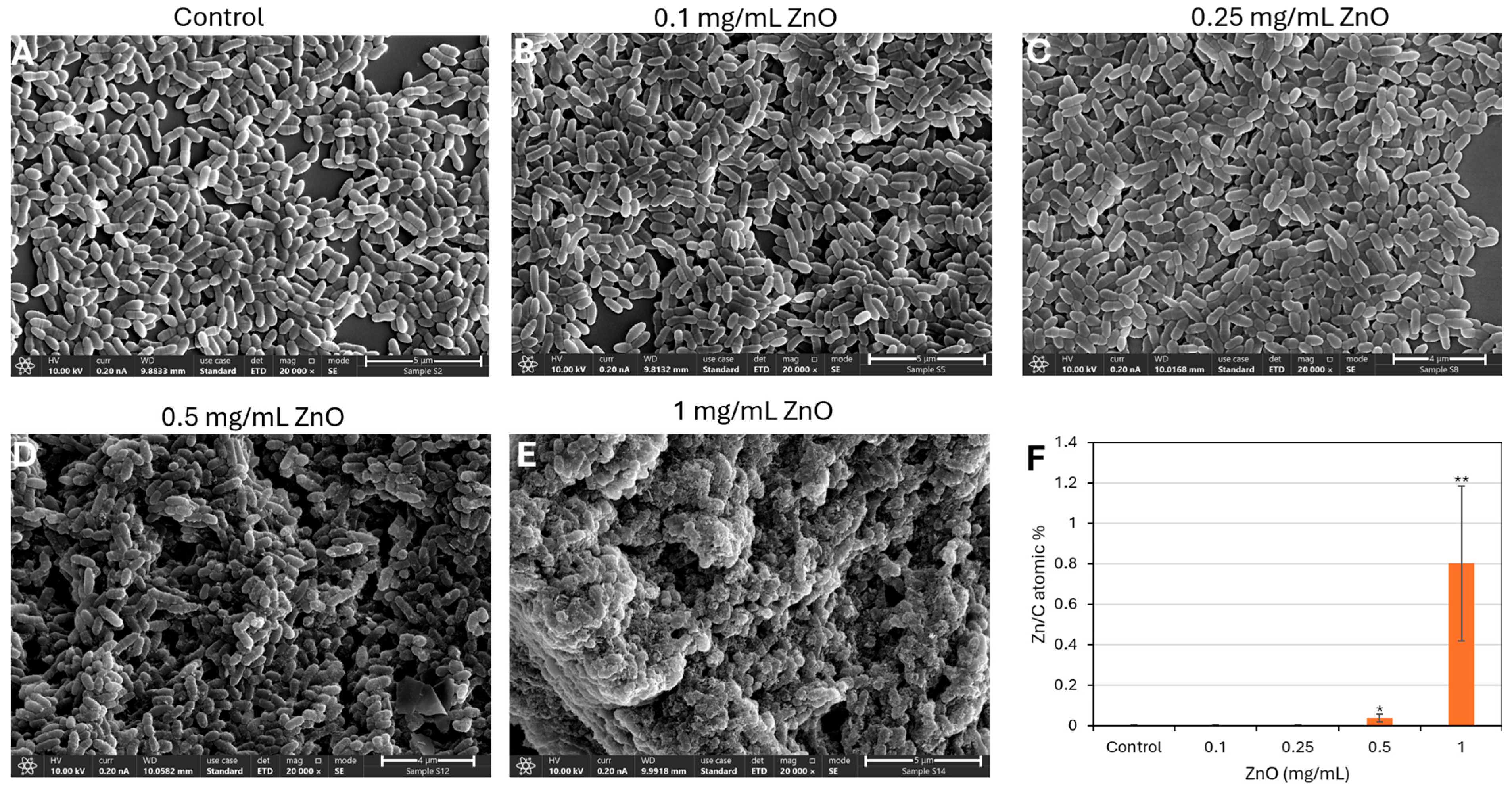 Biomolecules 15 01660 g005