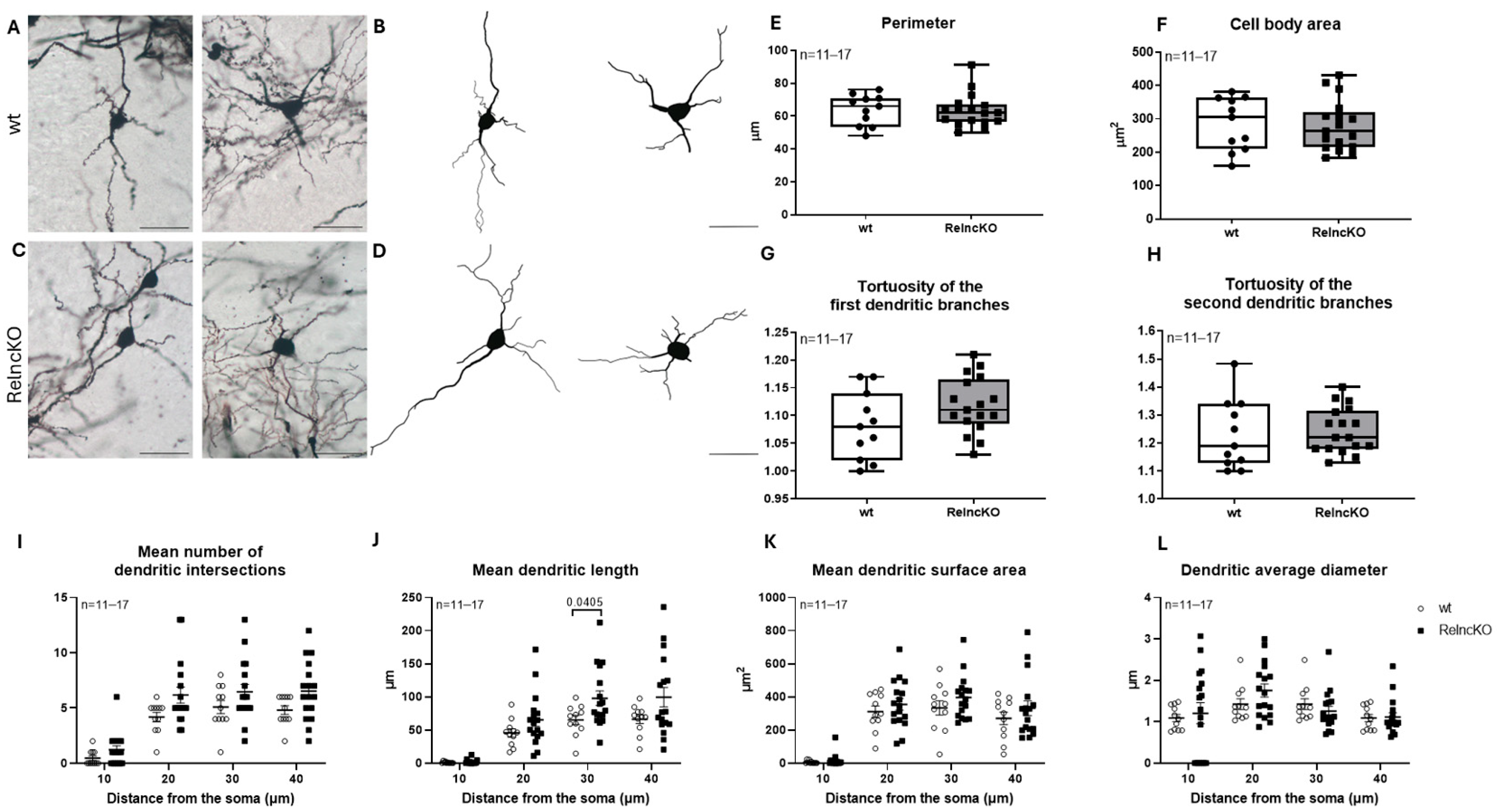 Biomolecules 15 01662 g002
