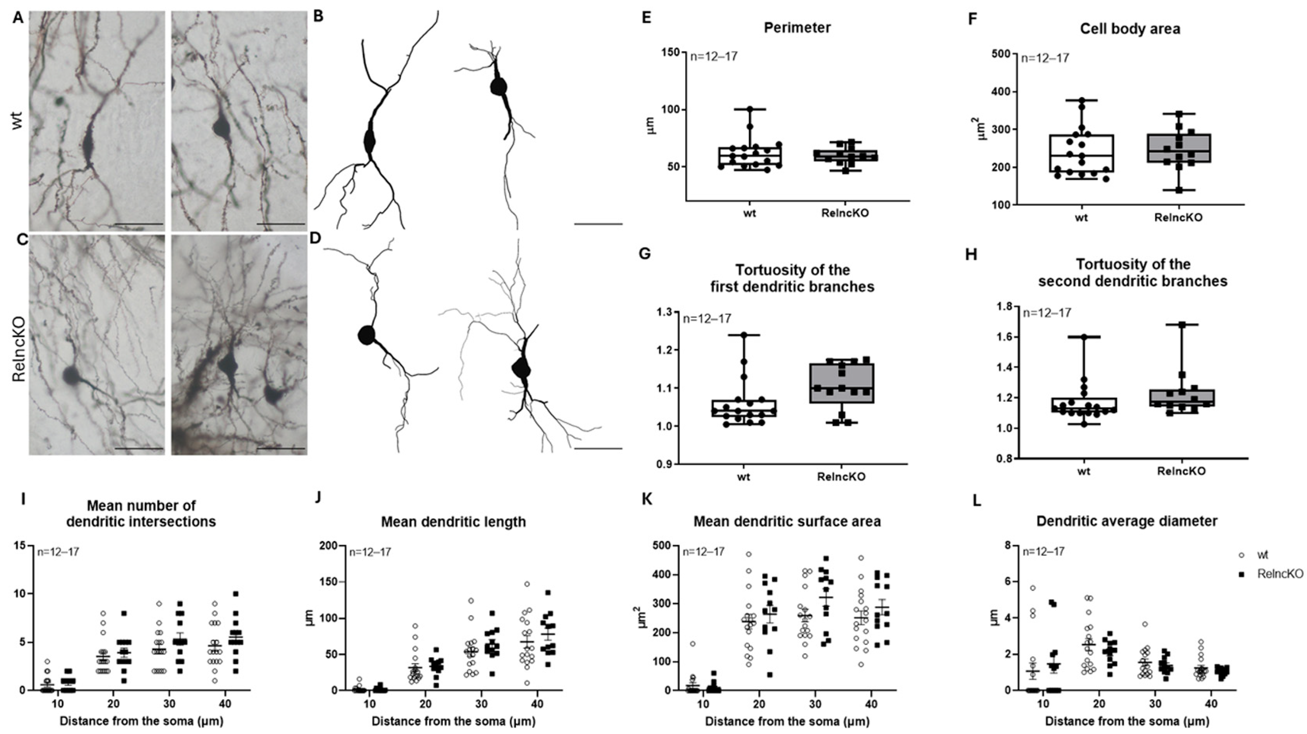 Biomolecules 15 01662 g003