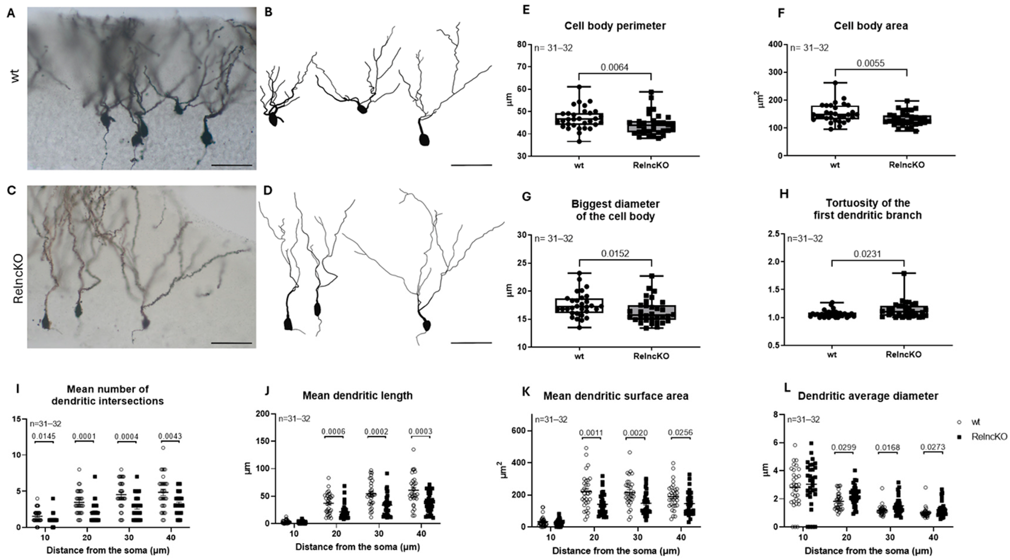Biomolecules 15 01662 g004