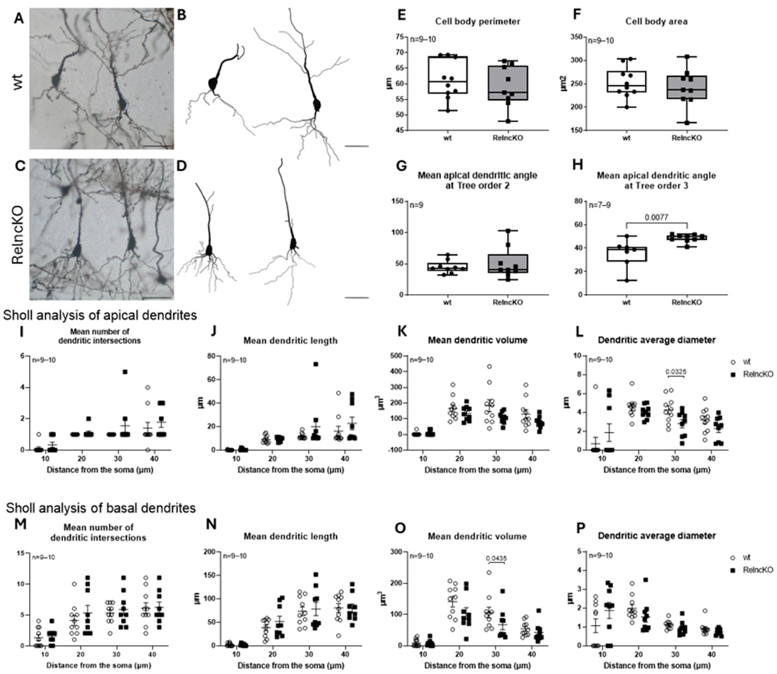 Biomolecules 15 01662 g005