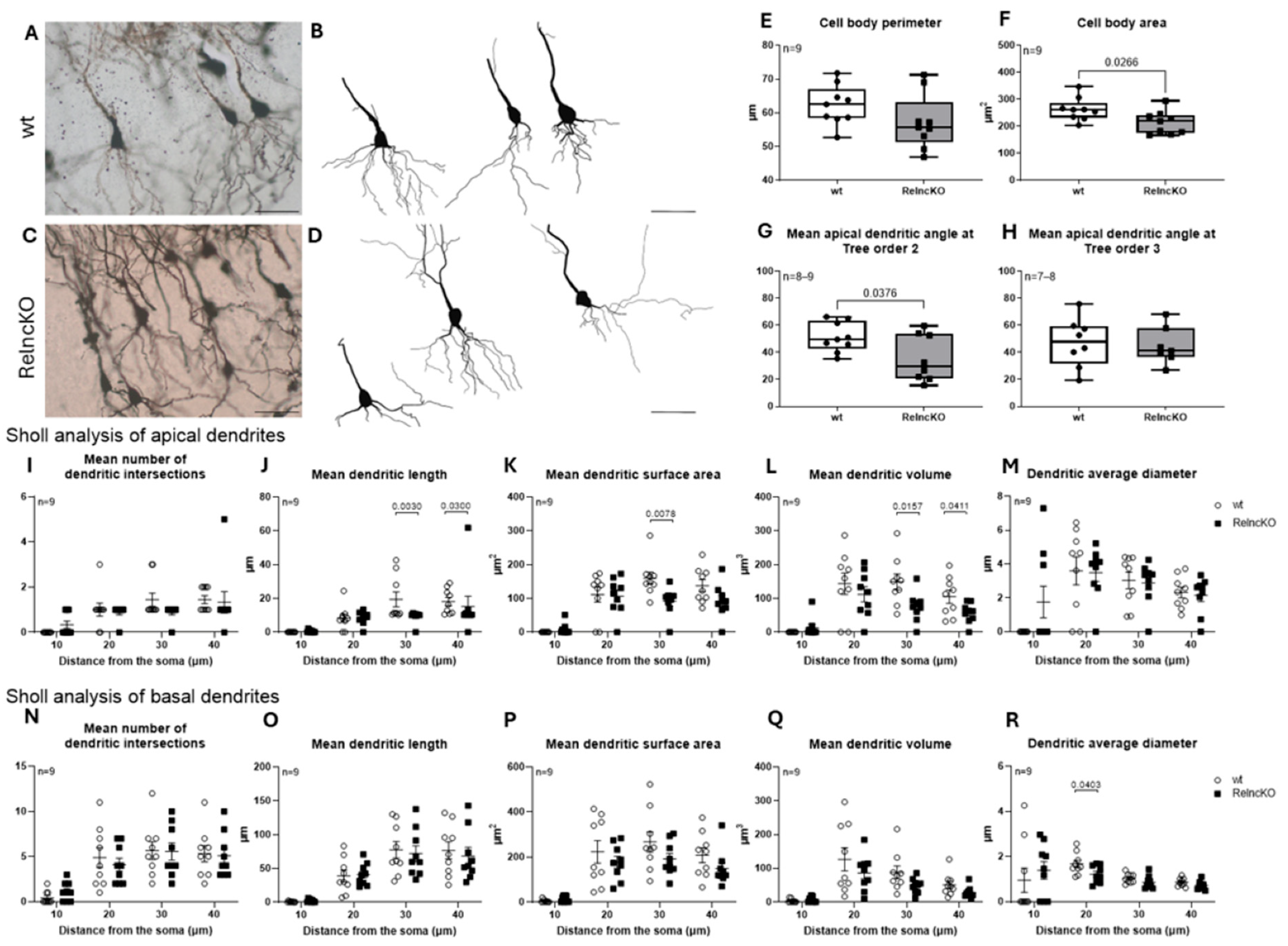 Biomolecules 15 01662 g006