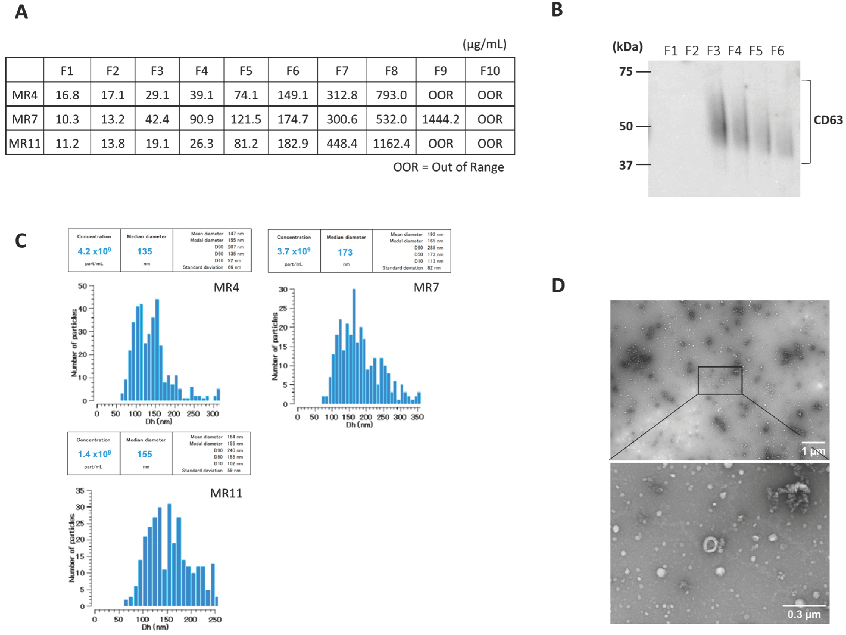 Biomolecules 15 01663 g001 Biomolecules 15 01663 g001