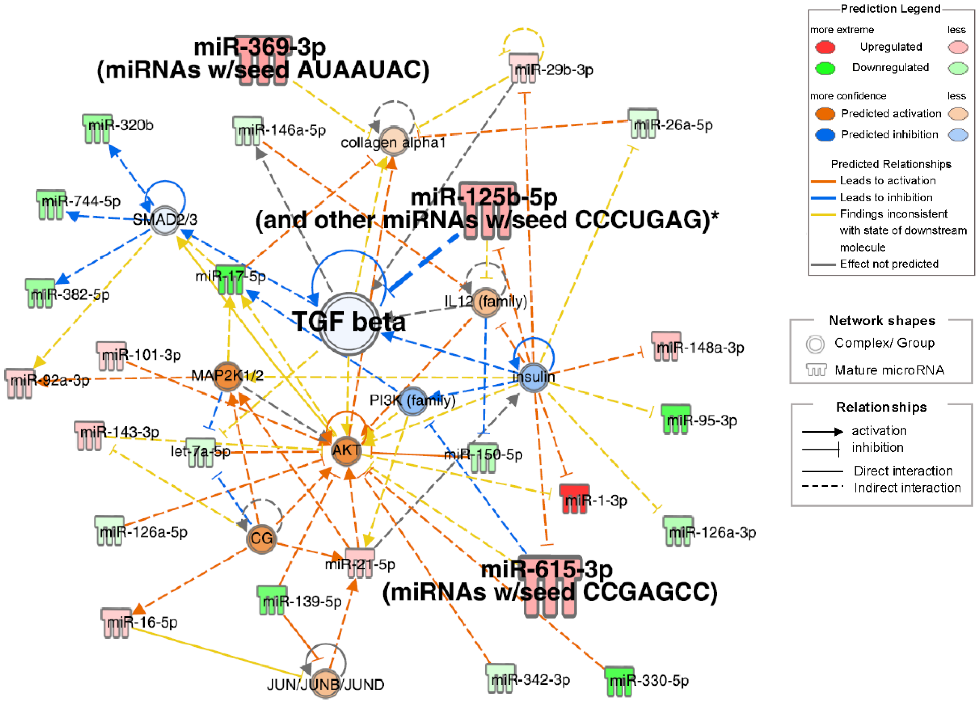 Biomolecules 15 01663 g004 Biomolecules 15 01663 g004