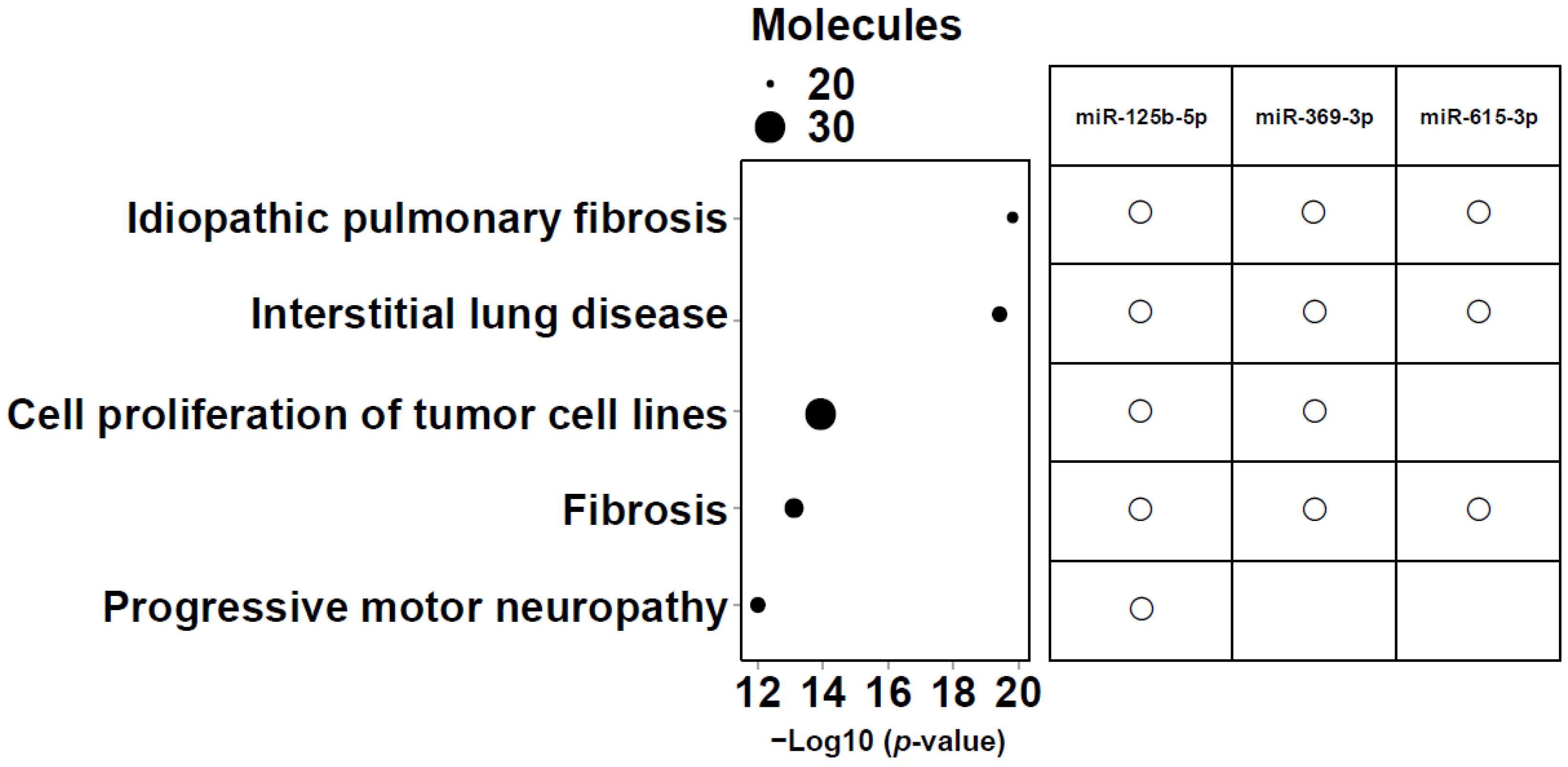 Biomolecules 15 01663 g006 Biomolecules 15 01663 g006