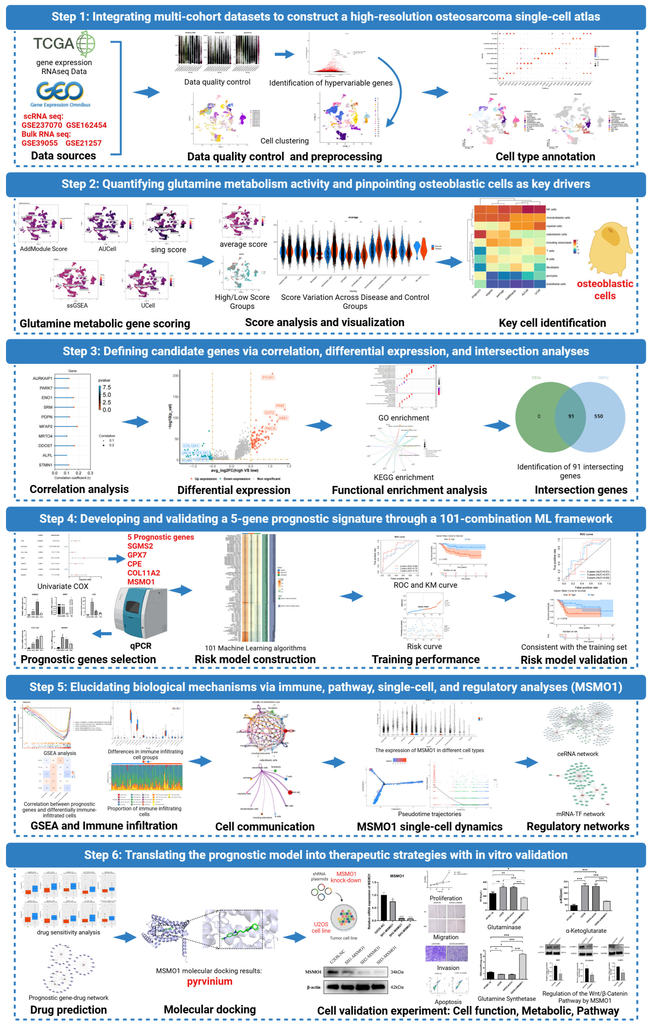 Biomolecules 15 01664 g001