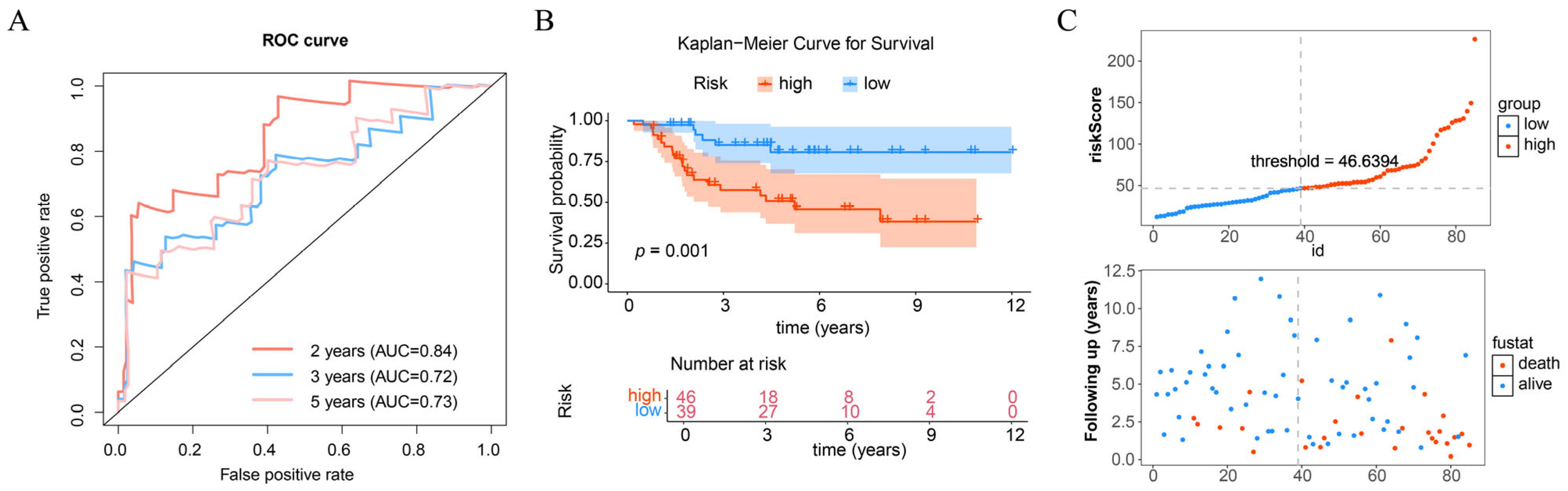 Biomolecules 15 01664 g004