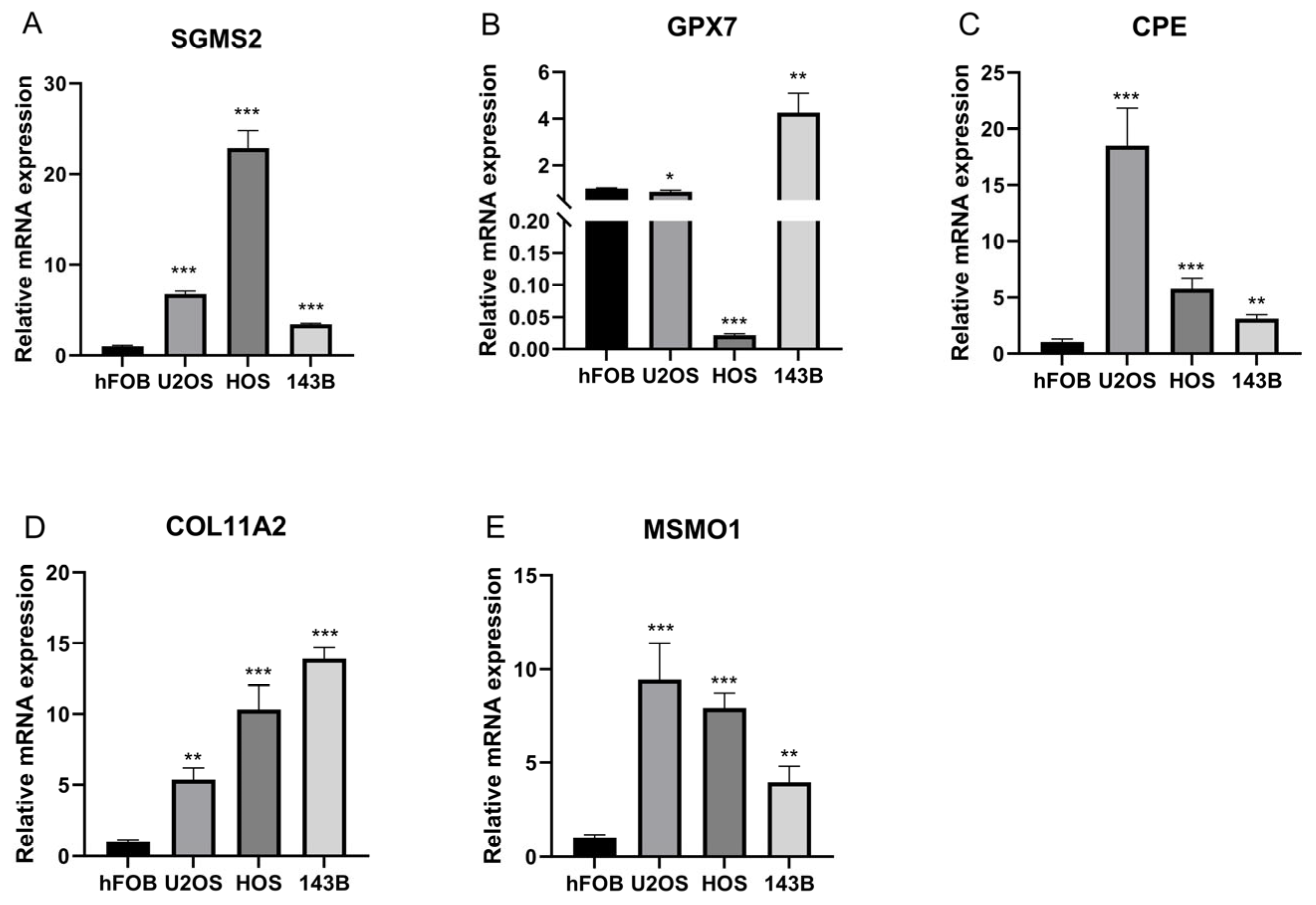 Biomolecules 15 01664 g006