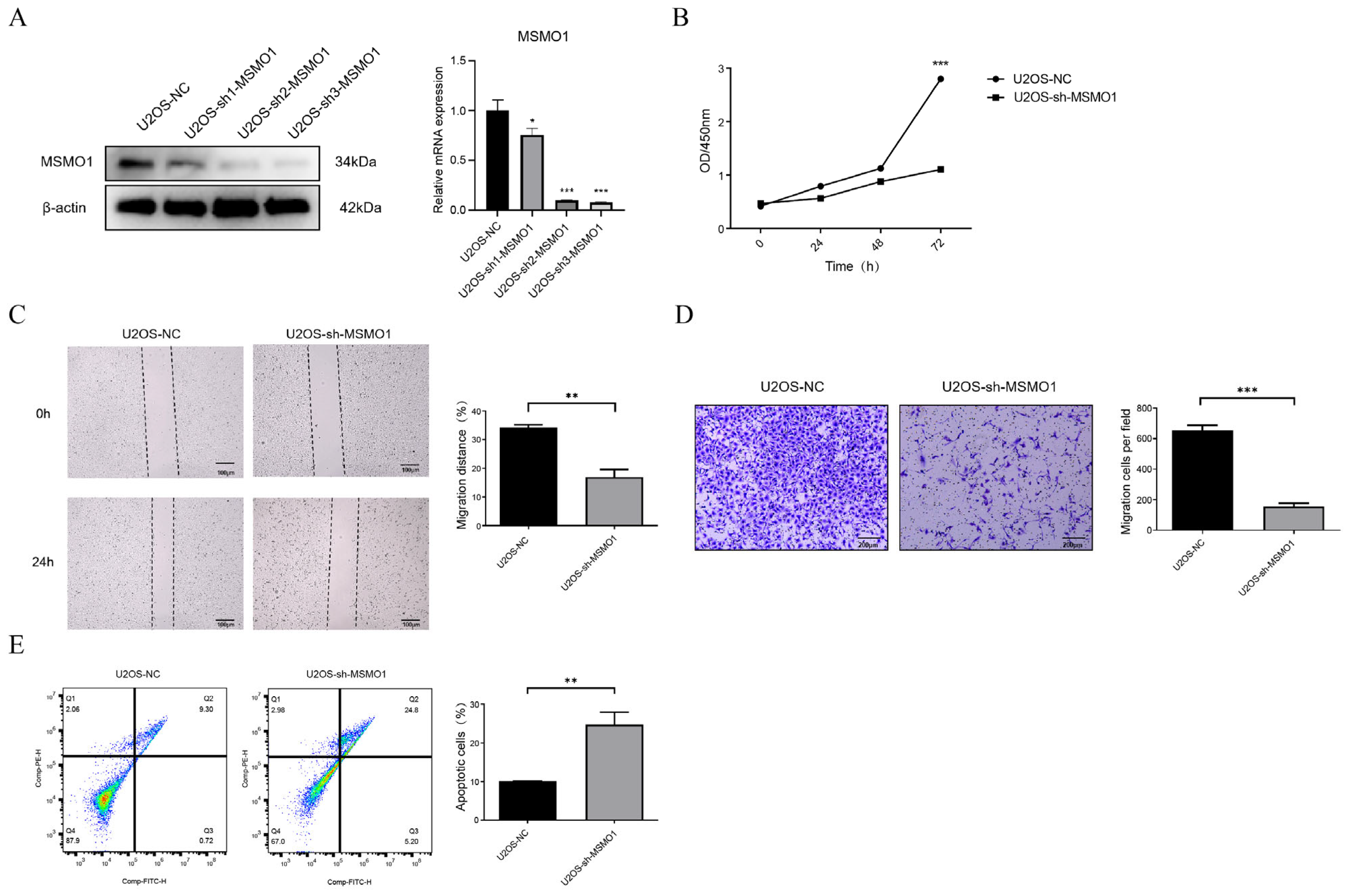 Biomolecules 15 01664 g008