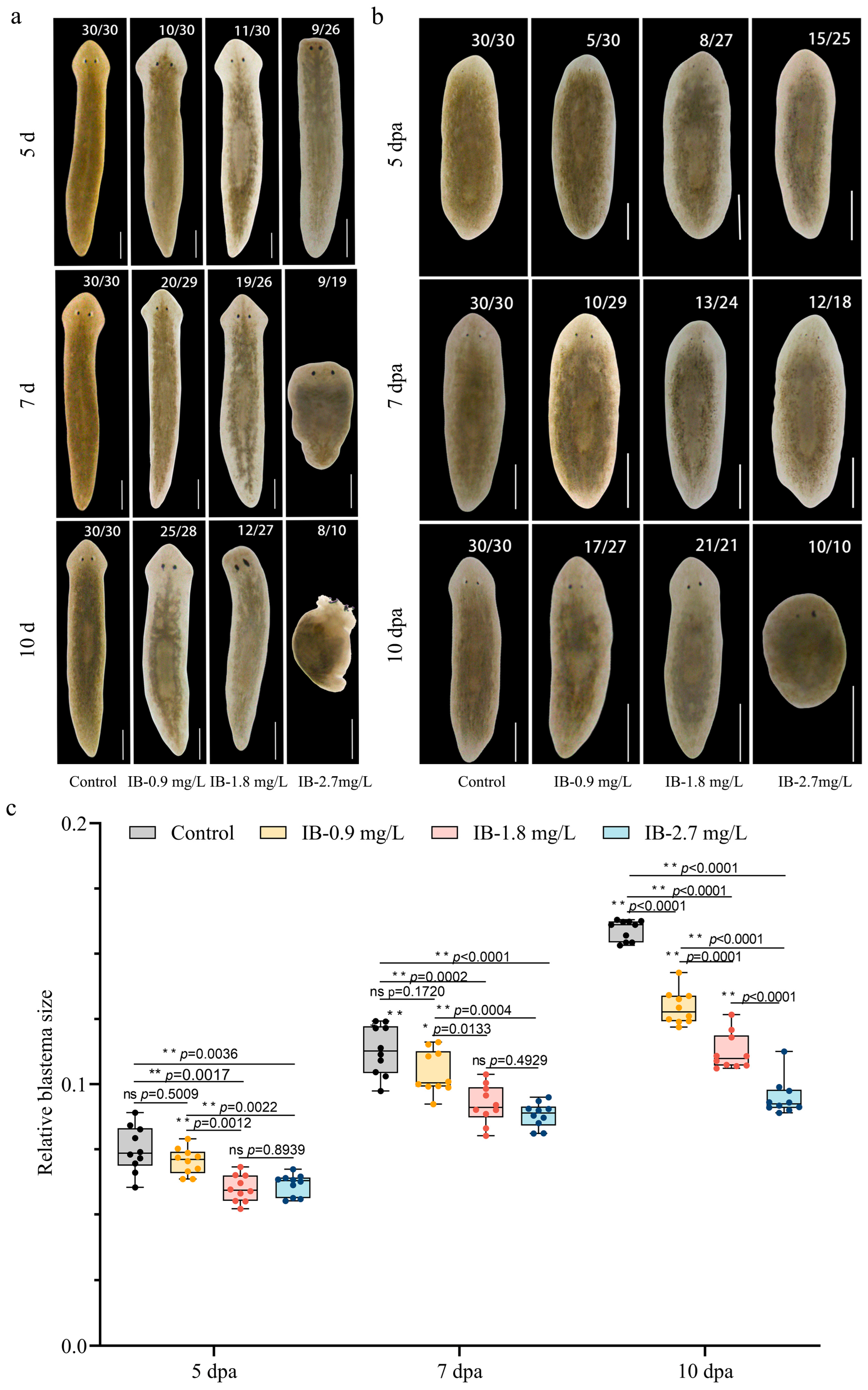 Biomolecules 15 01665 g001 Biomolecules 15 01665 g001
