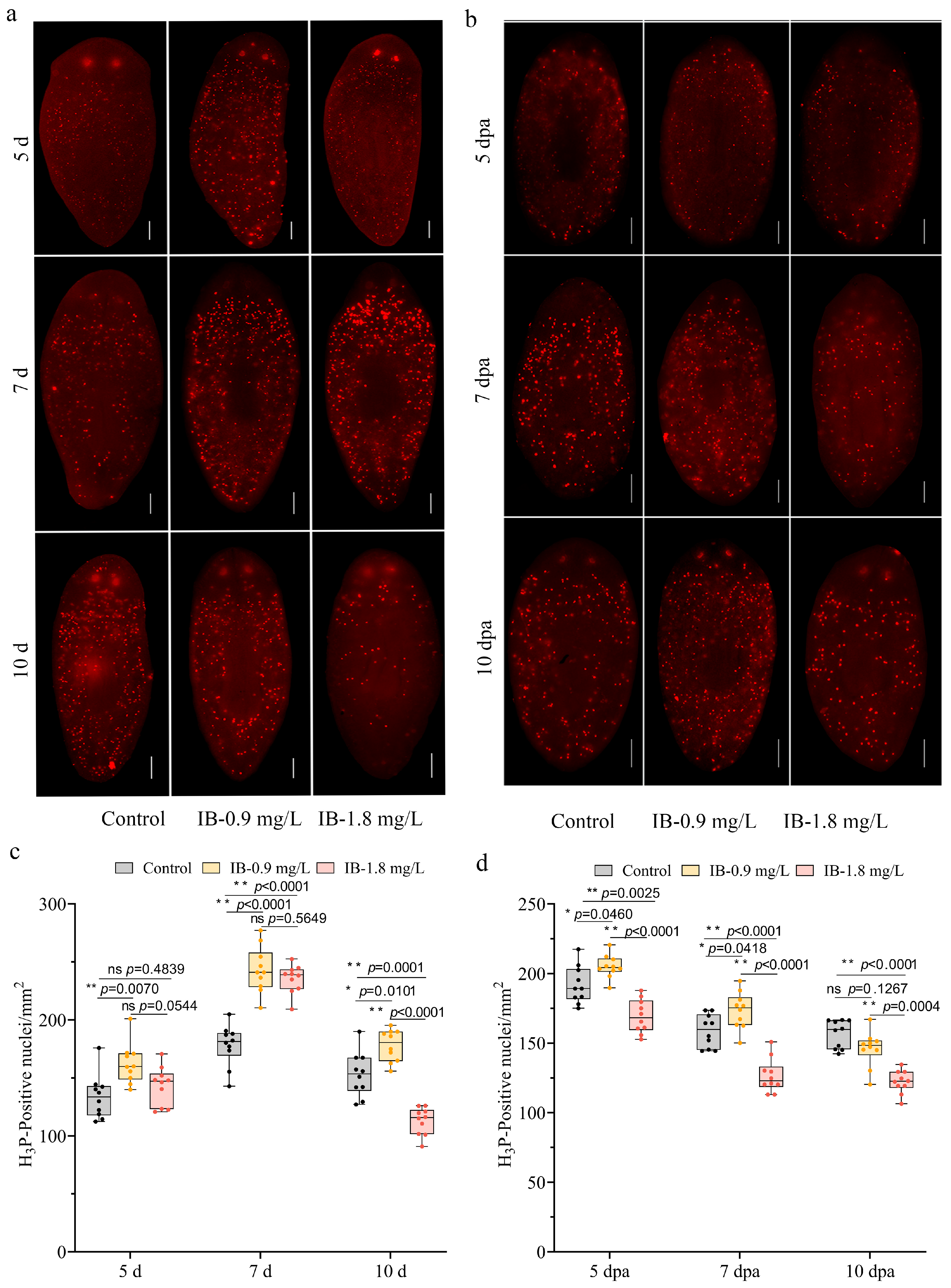 Biomolecules 15 01665 g003 Biomolecules 15 01665 g003