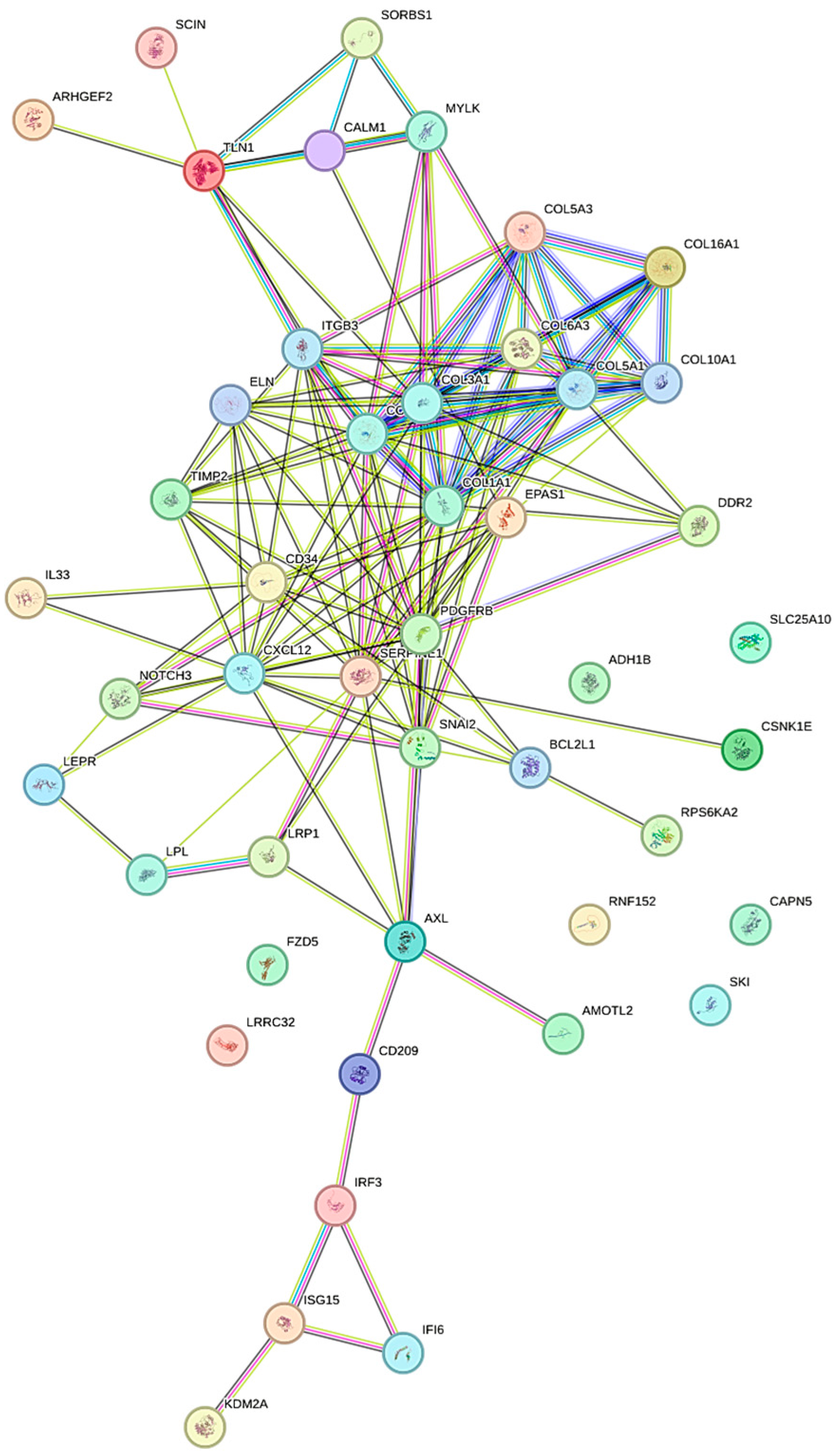 Biomolecules 15 01666 g002