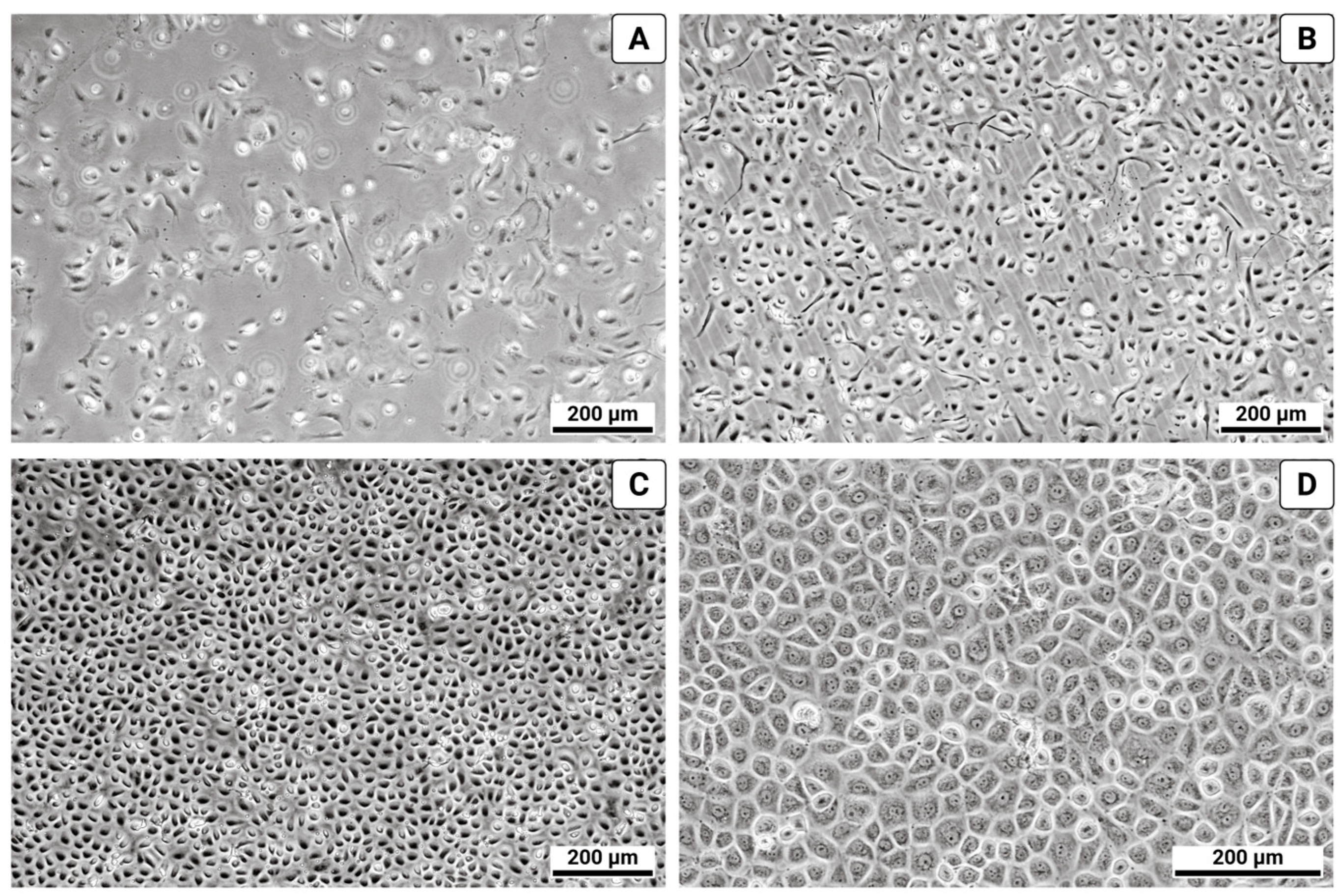 Biomolecules 15 01669 g001