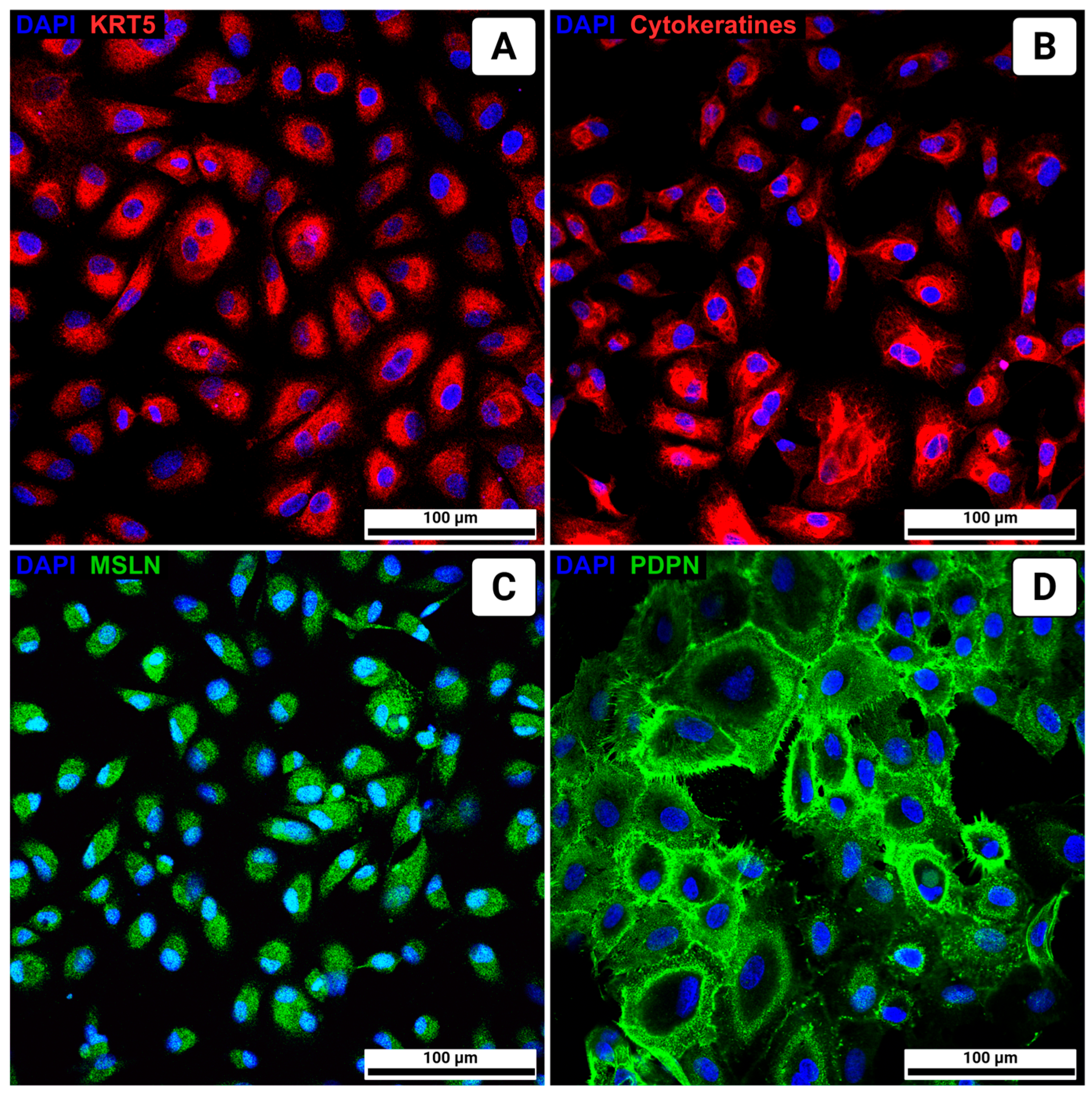 Biomolecules 15 01669 g002