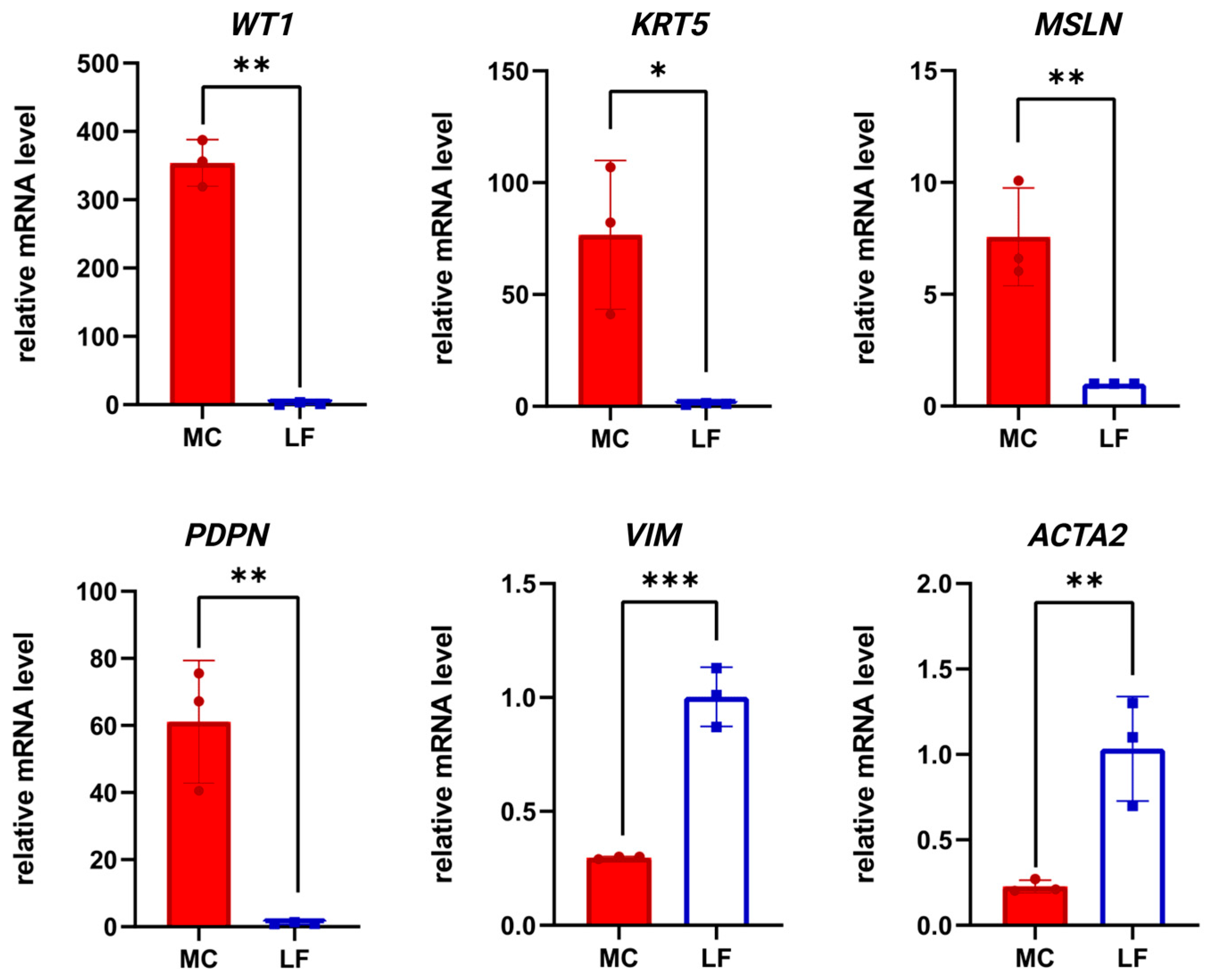 Biomolecules 15 01669 g003