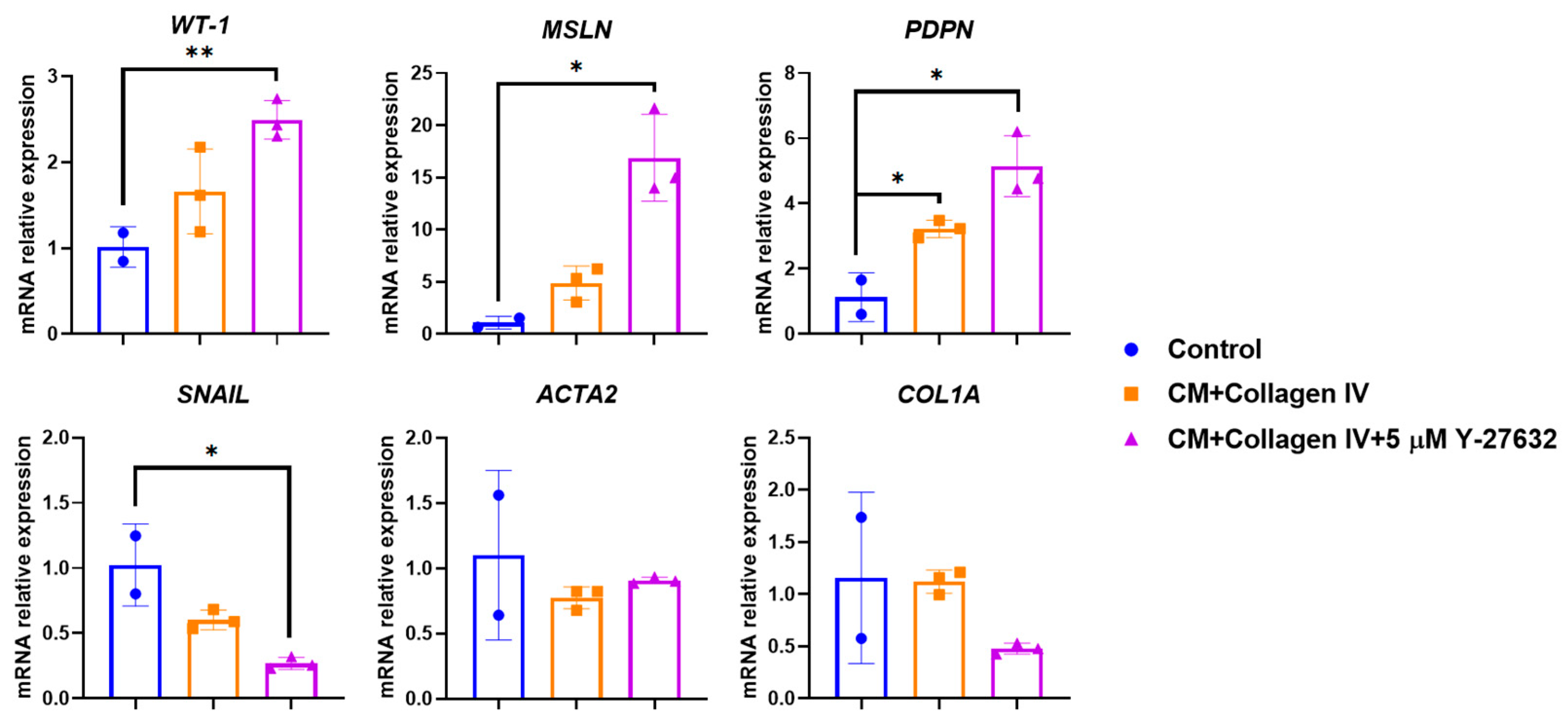 Biomolecules 15 01669 g004