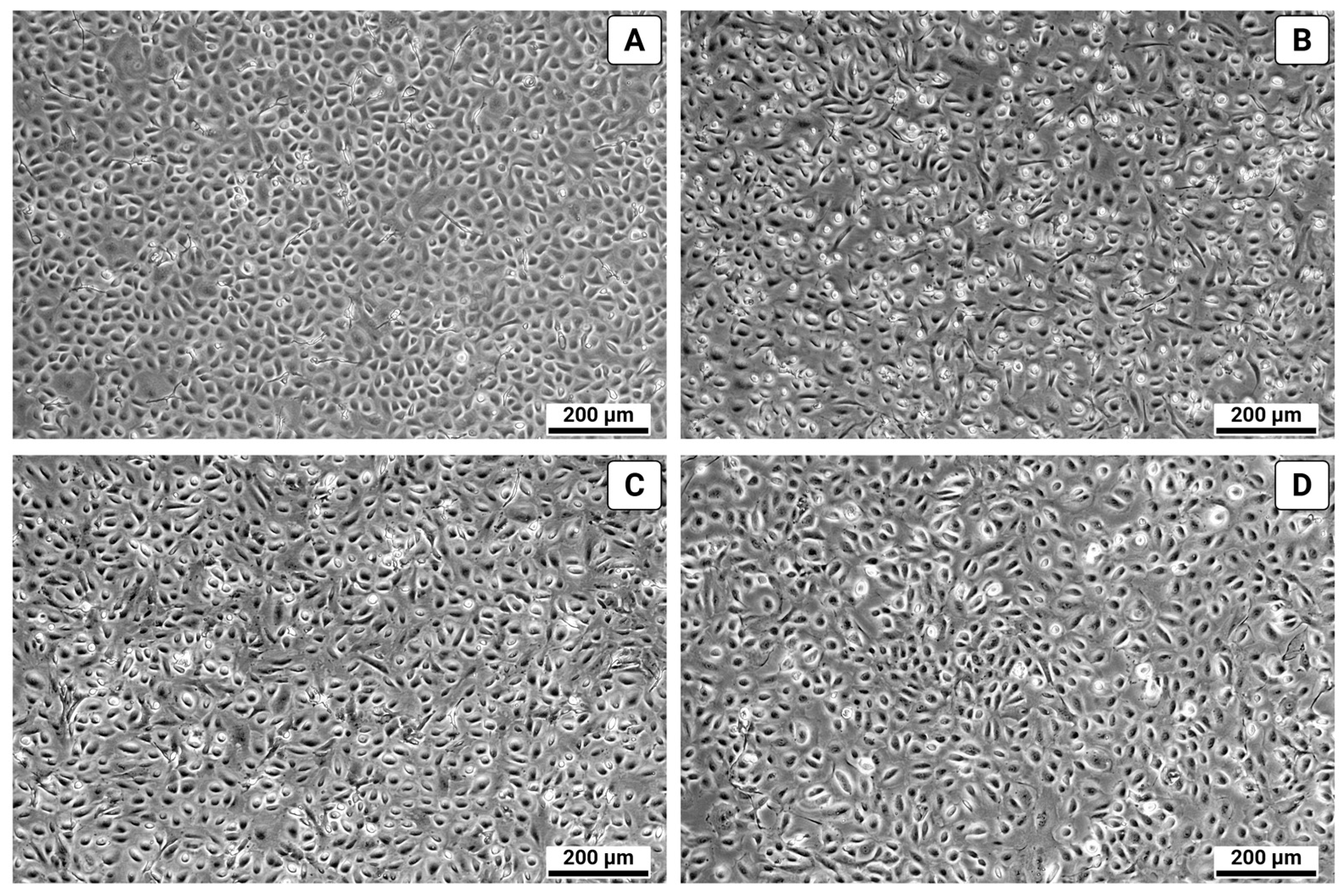 Biomolecules 15 01669 g005