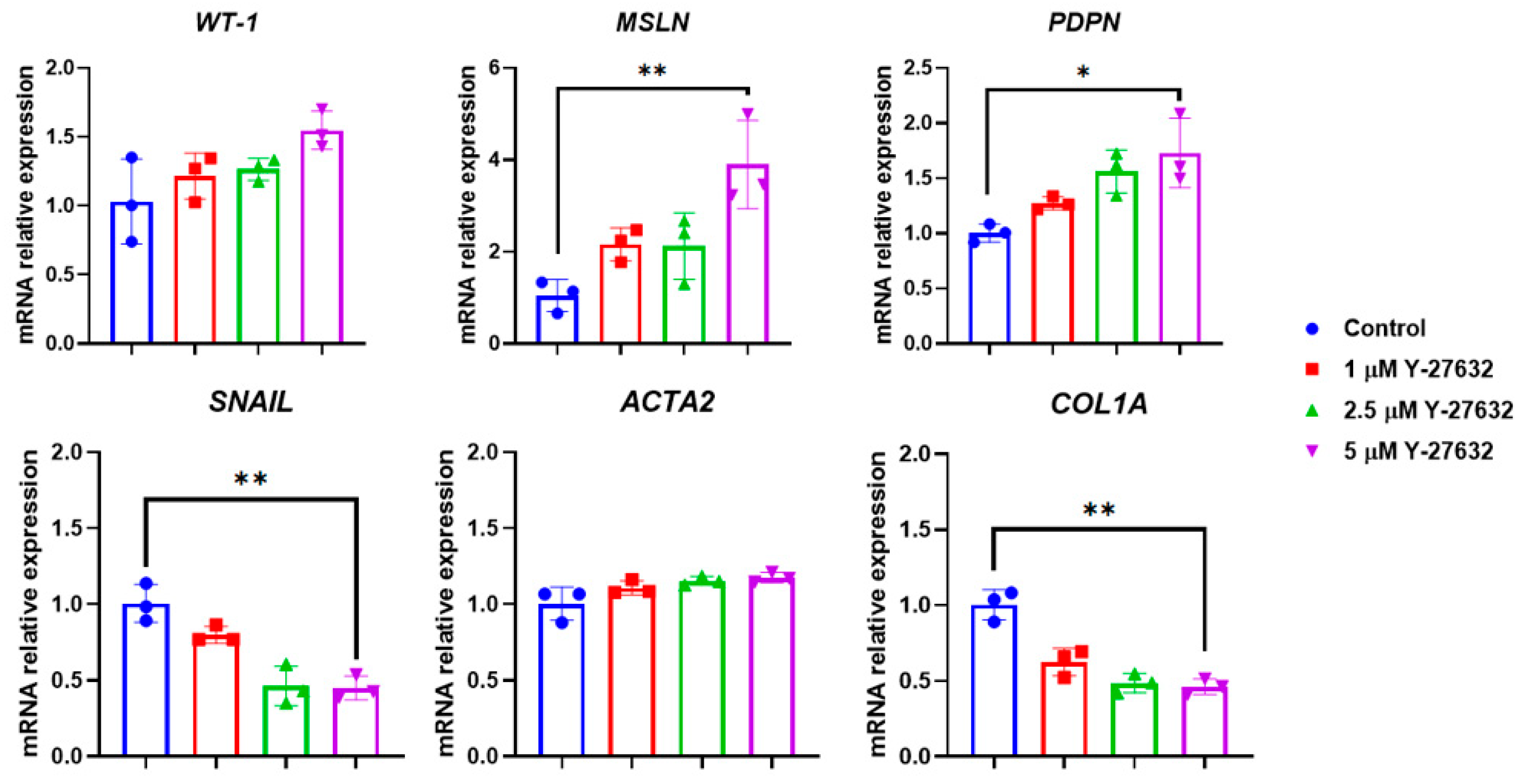 Biomolecules 15 01669 g006