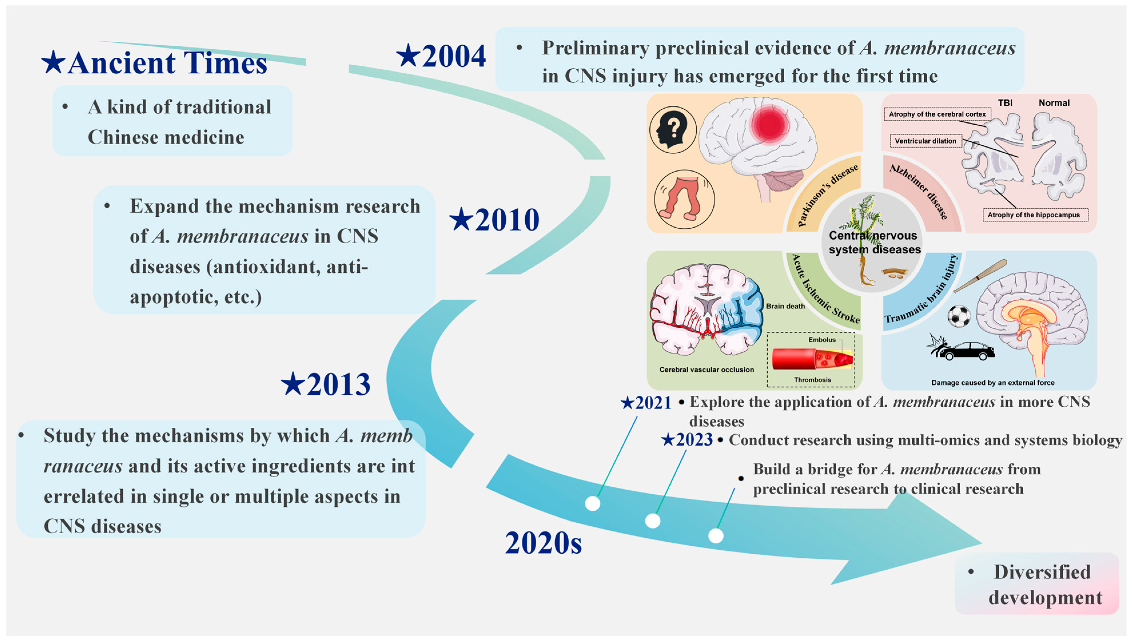 Biomolecules 15 01671 g001 Biomolecules 15 01671 g001