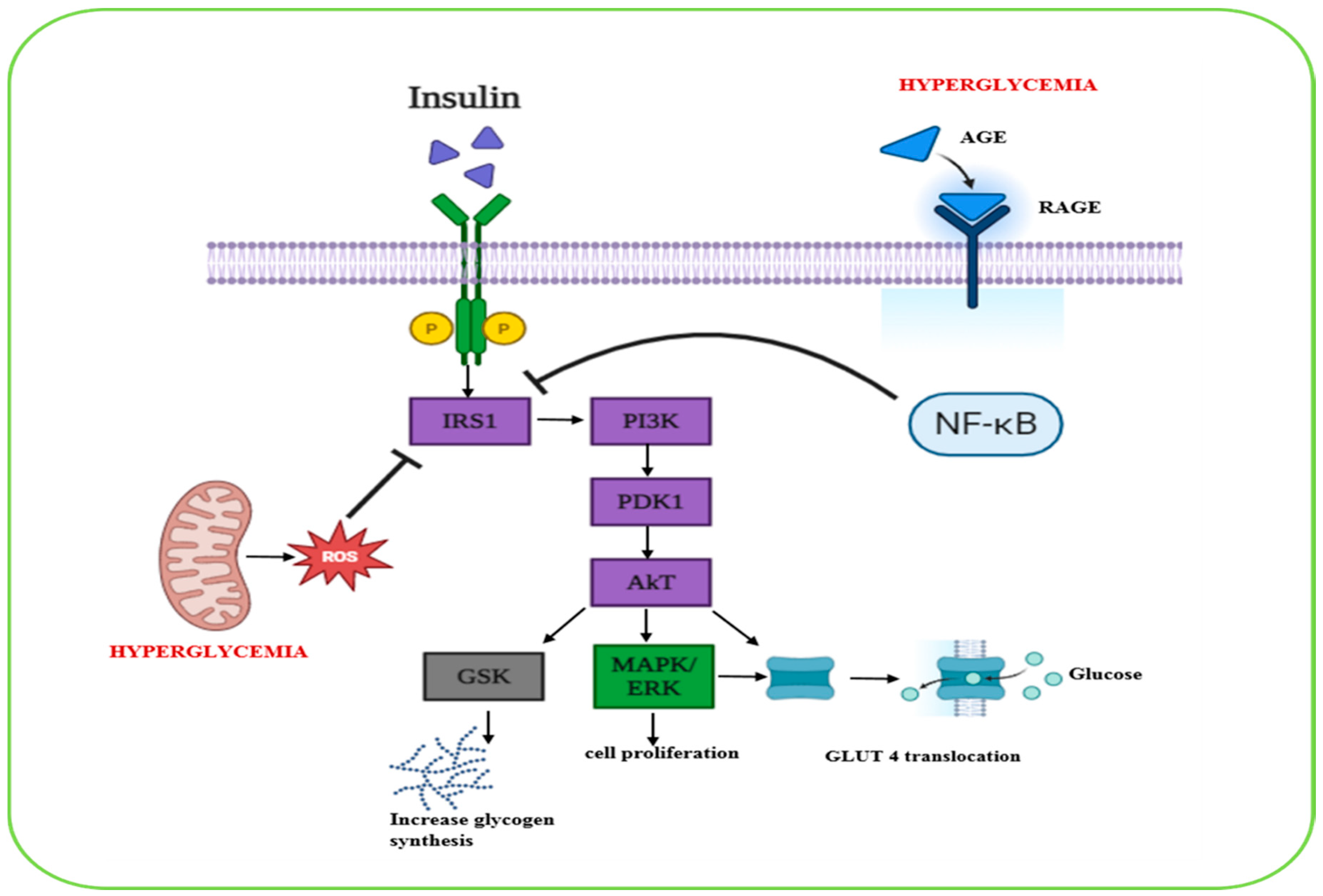 Biomolecules 15 01674 g001