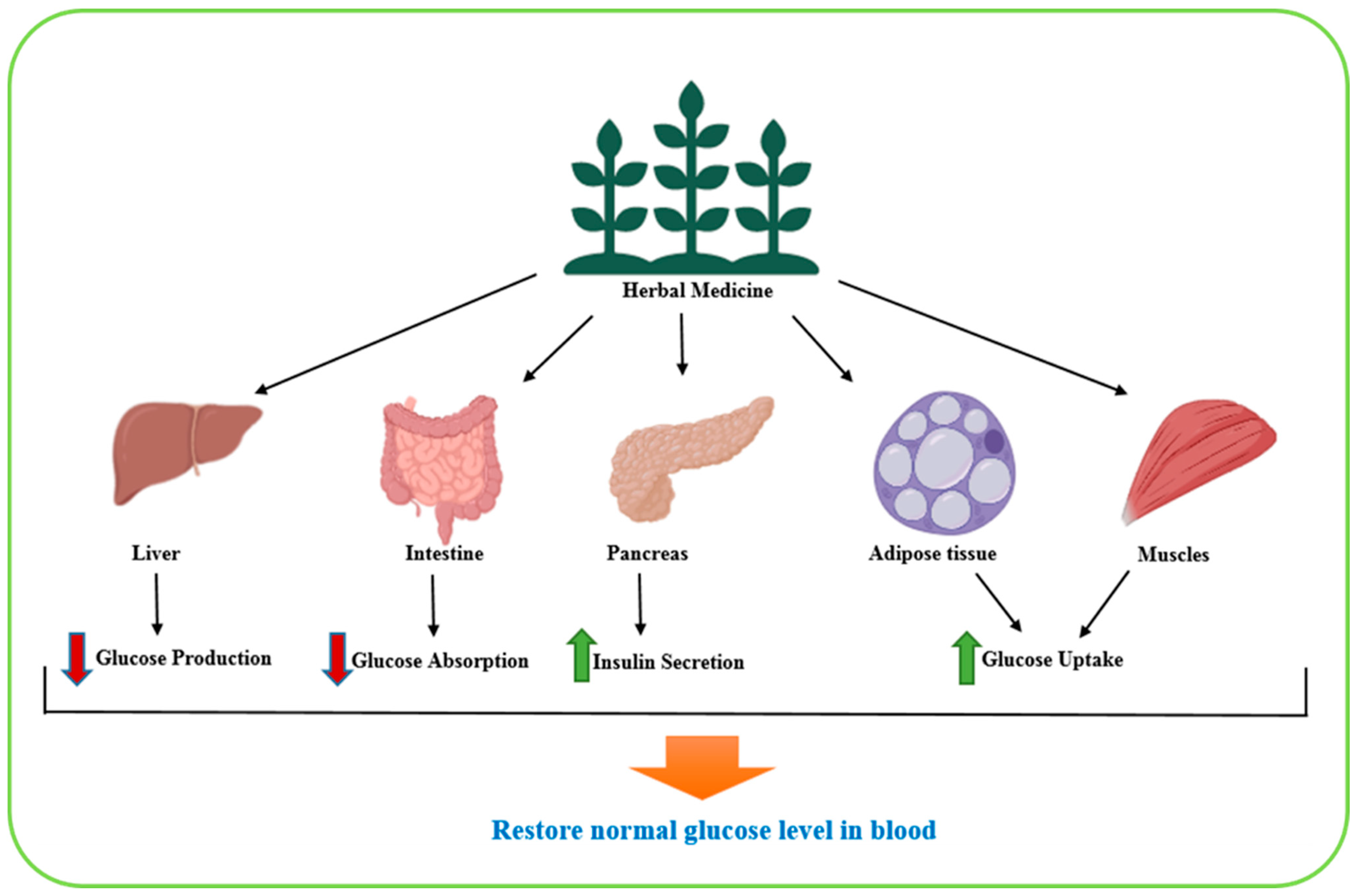 Biomolecules 15 01674 g002