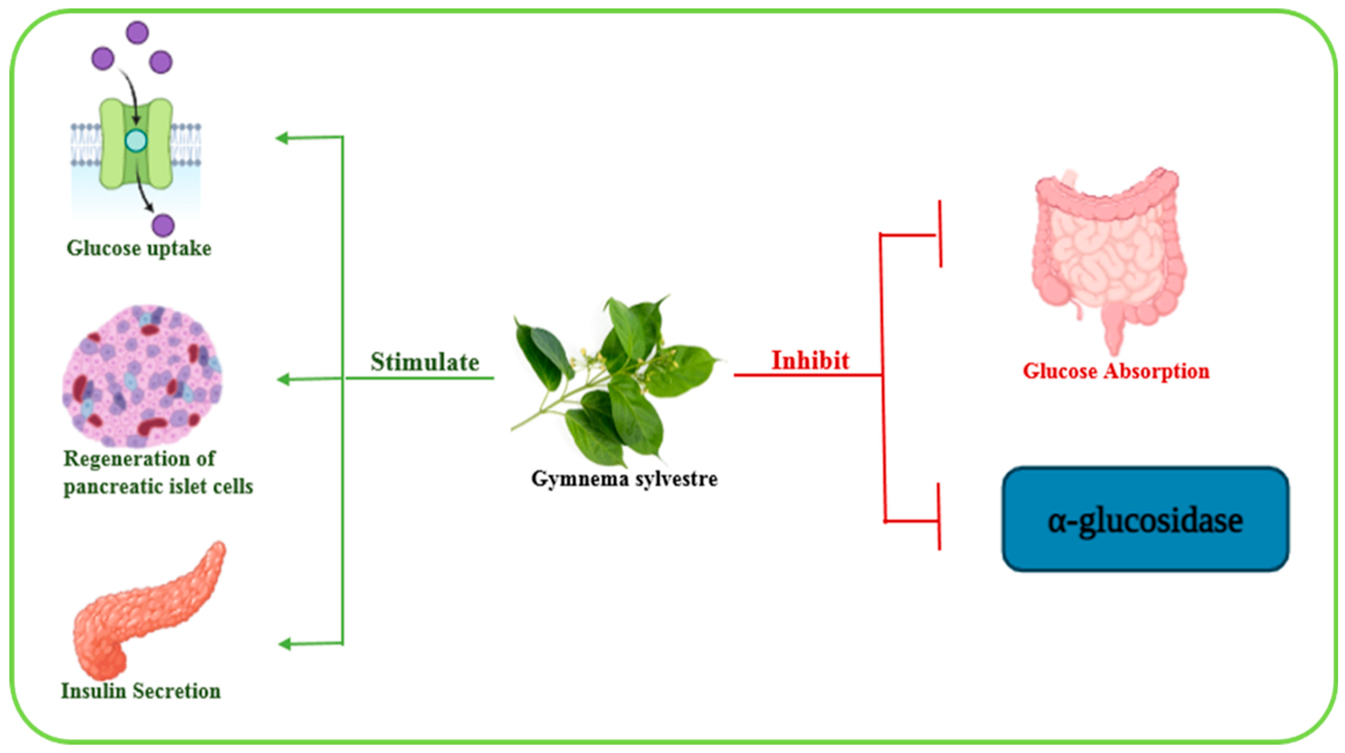 Biomolecules 15 01674 g004