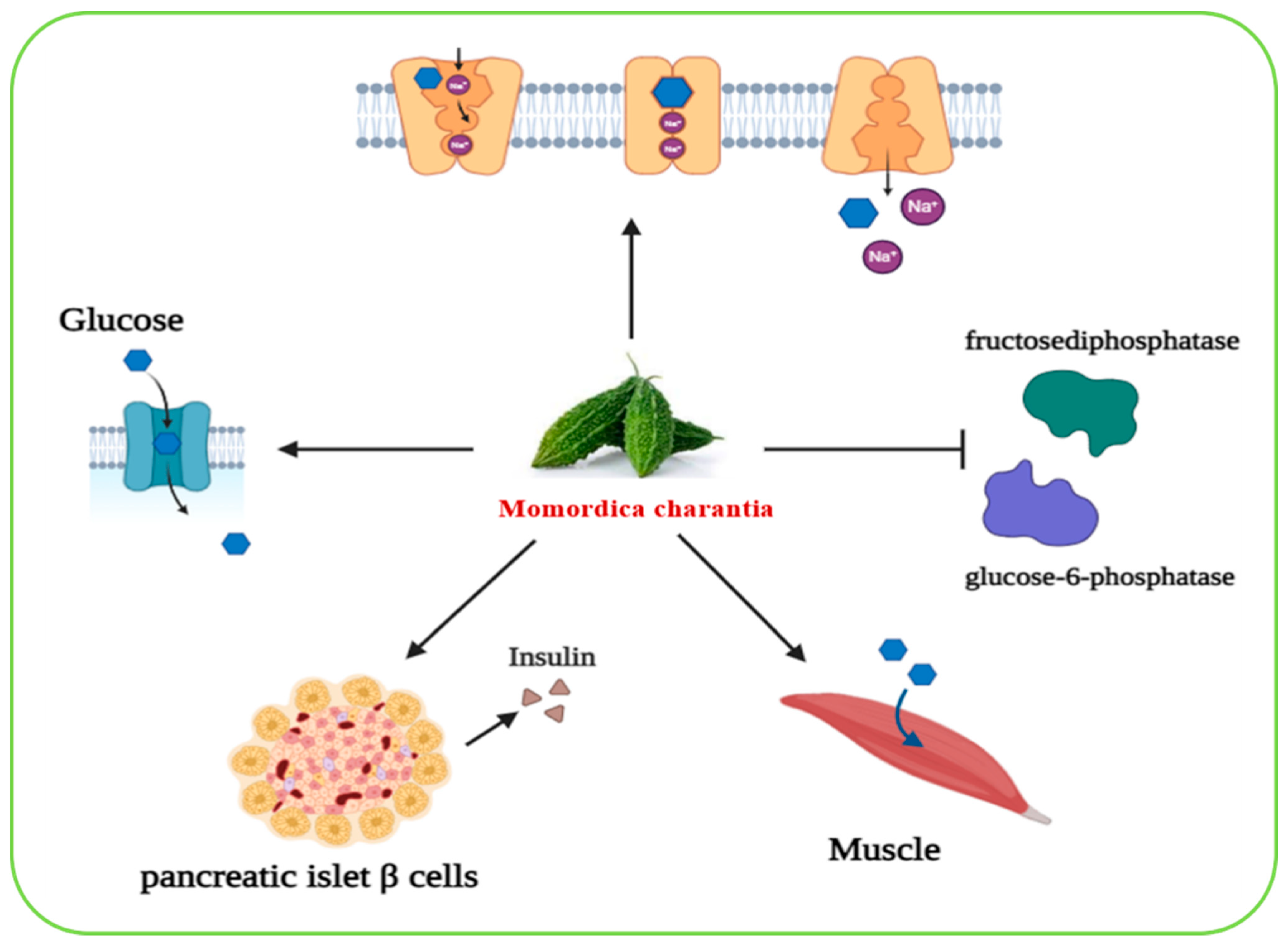 Biomolecules 15 01674 g006