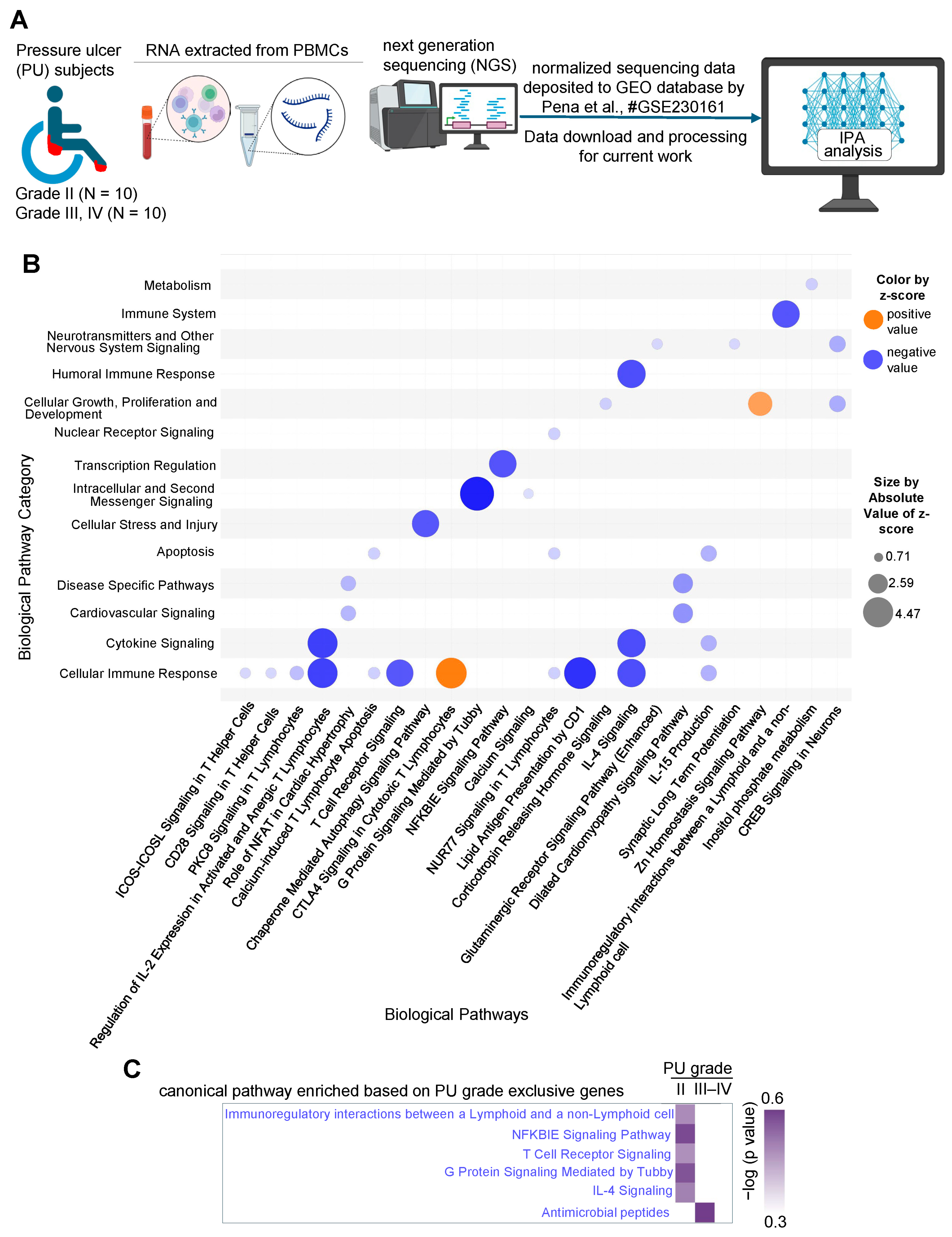 Biomolecules 15 01682 g001