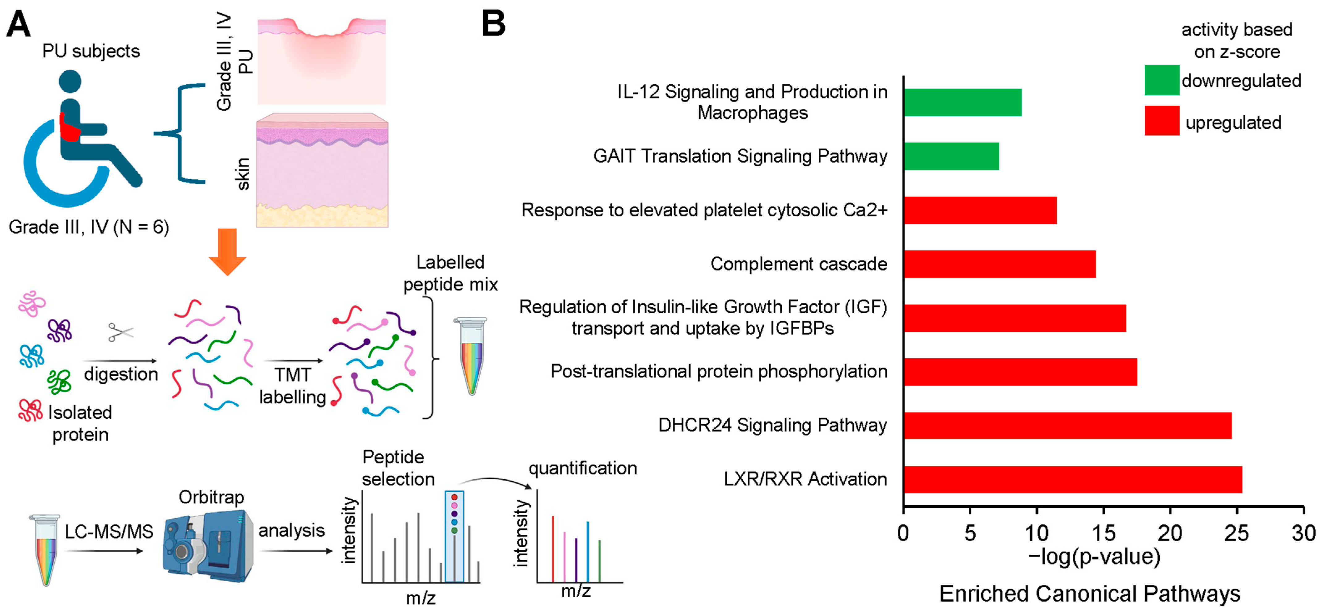 Biomolecules 15 01682 g005