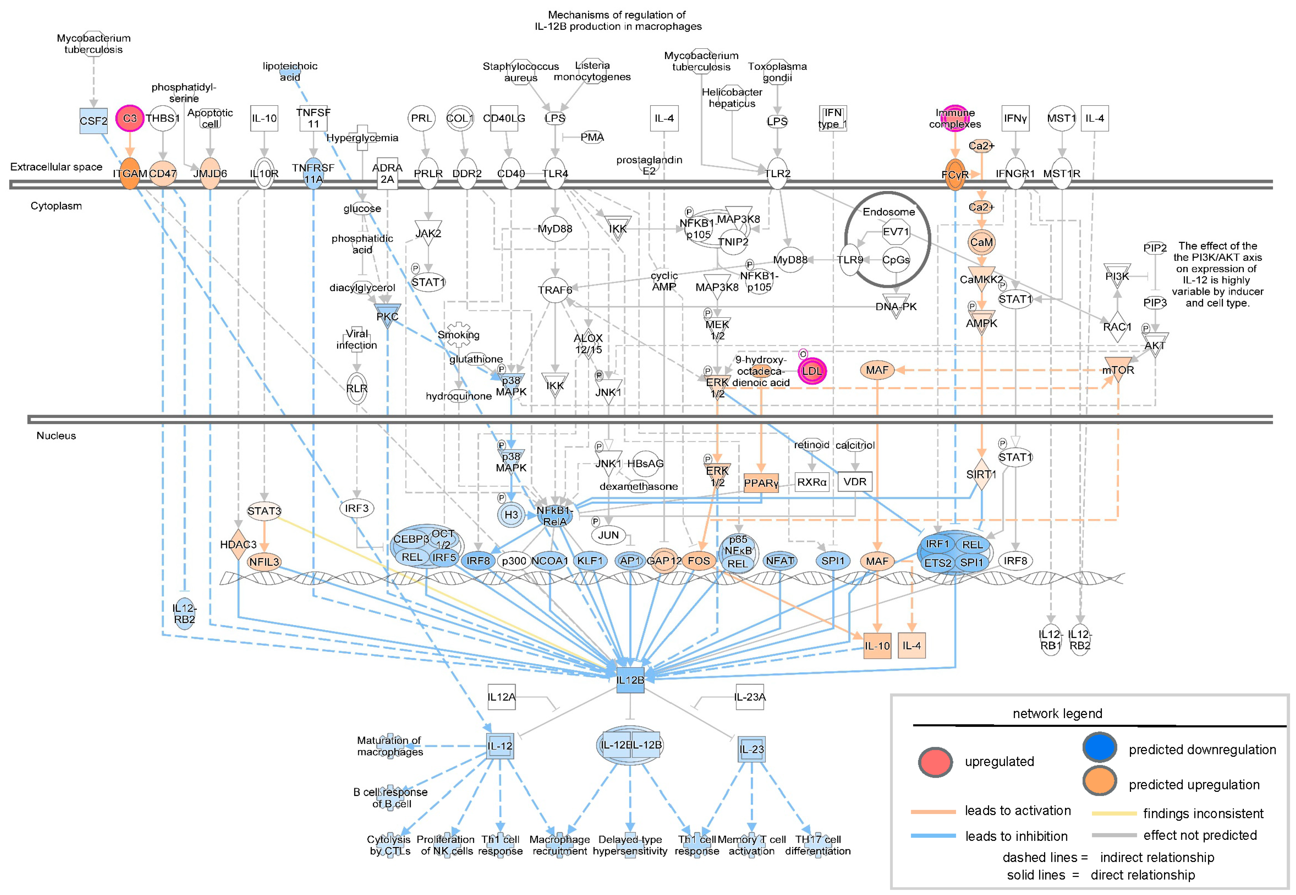 Biomolecules 15 01682 g006