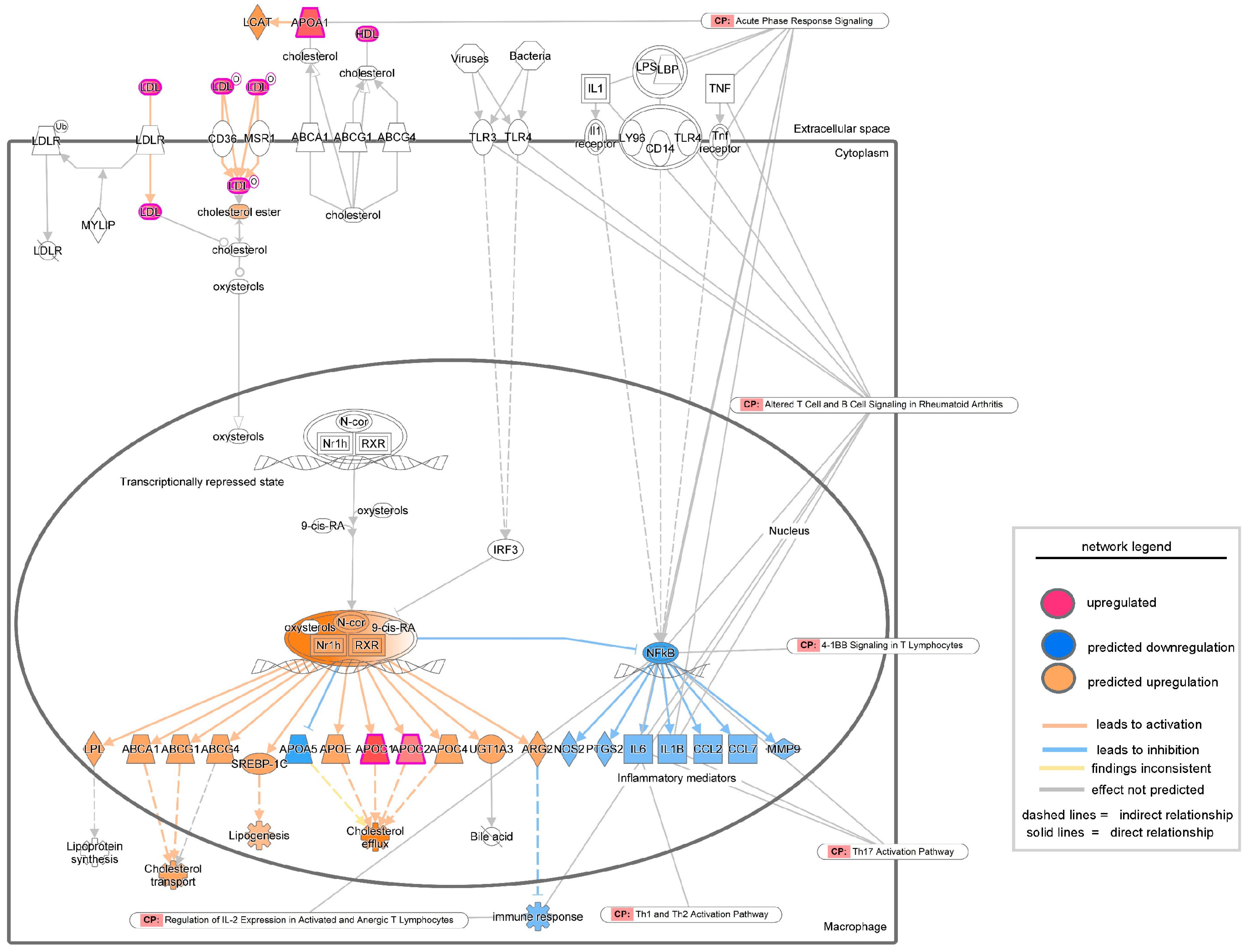 Biomolecules 15 01682 g007