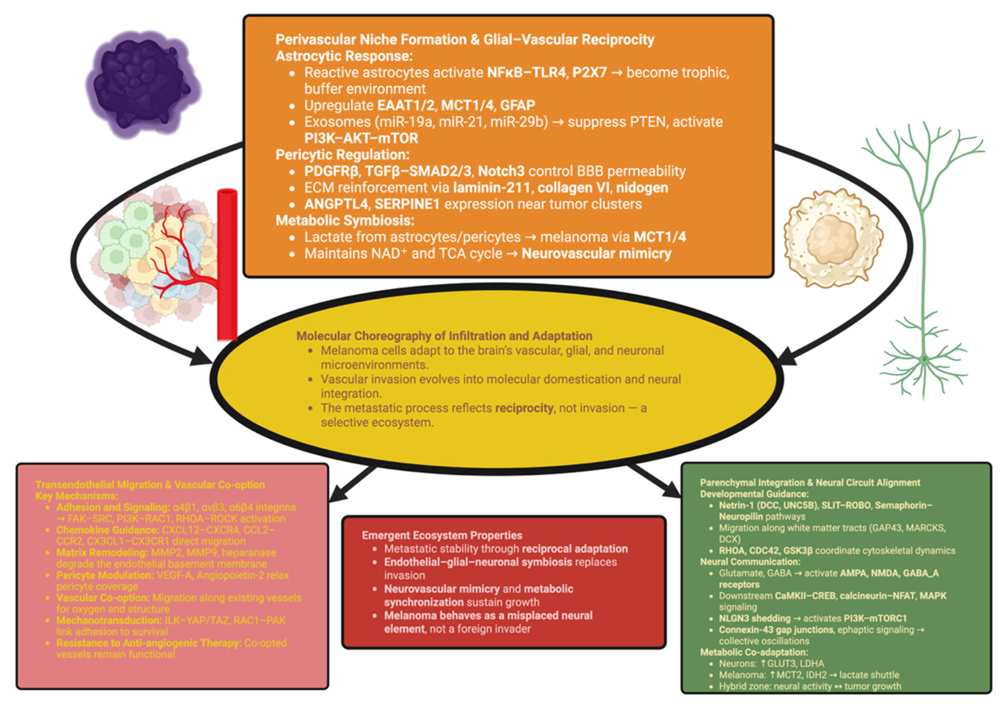 Biomolecules 15 01683 g001 Biomolecules 15 01683 g001