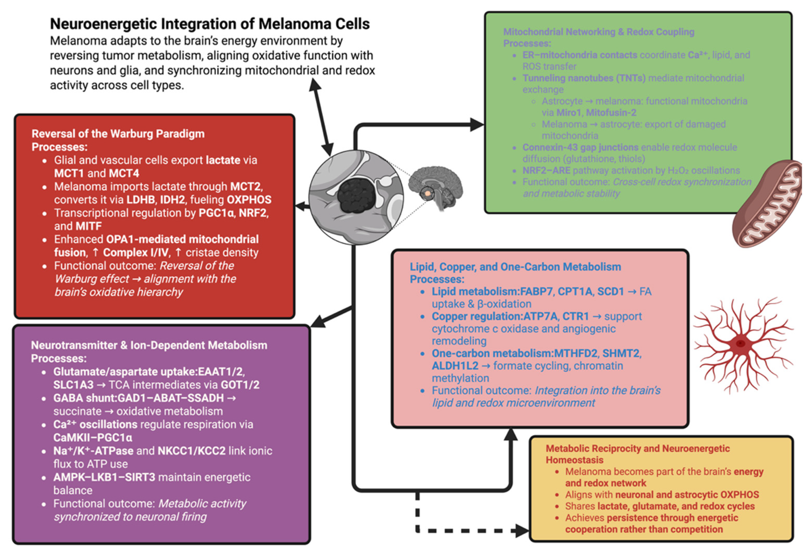 Biomolecules 15 01683 g002 Biomolecules 15 01683 g002