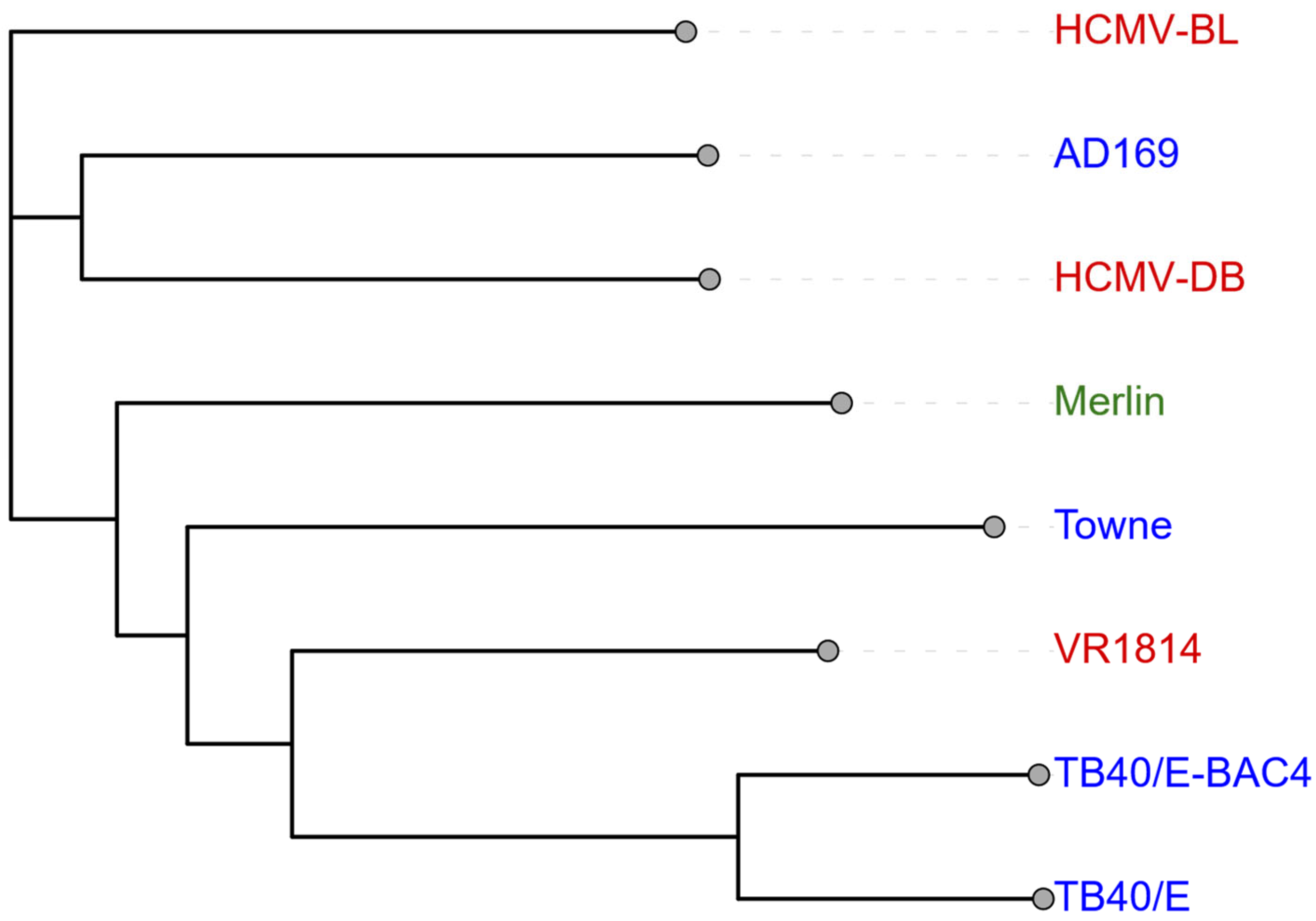 Biomolecules 15 01685 g001 Biomolecules 15 01685 g001