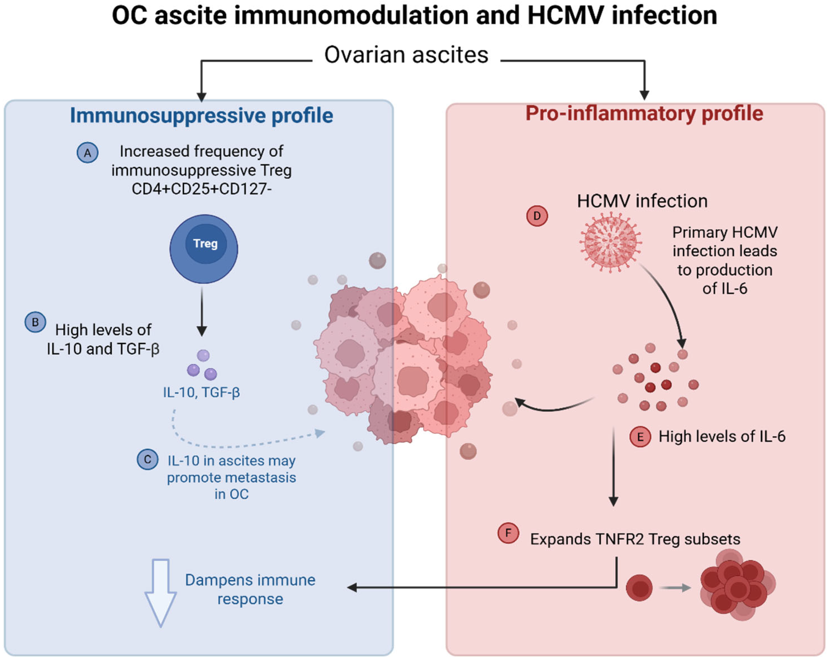 Biomolecules 15 01685 g004 Biomolecules 15 01685 g004