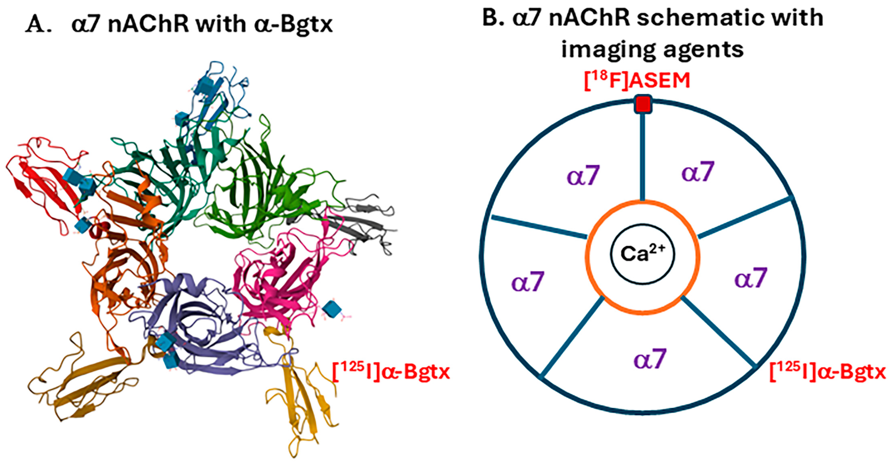 Biomolecules 15 01686 g002