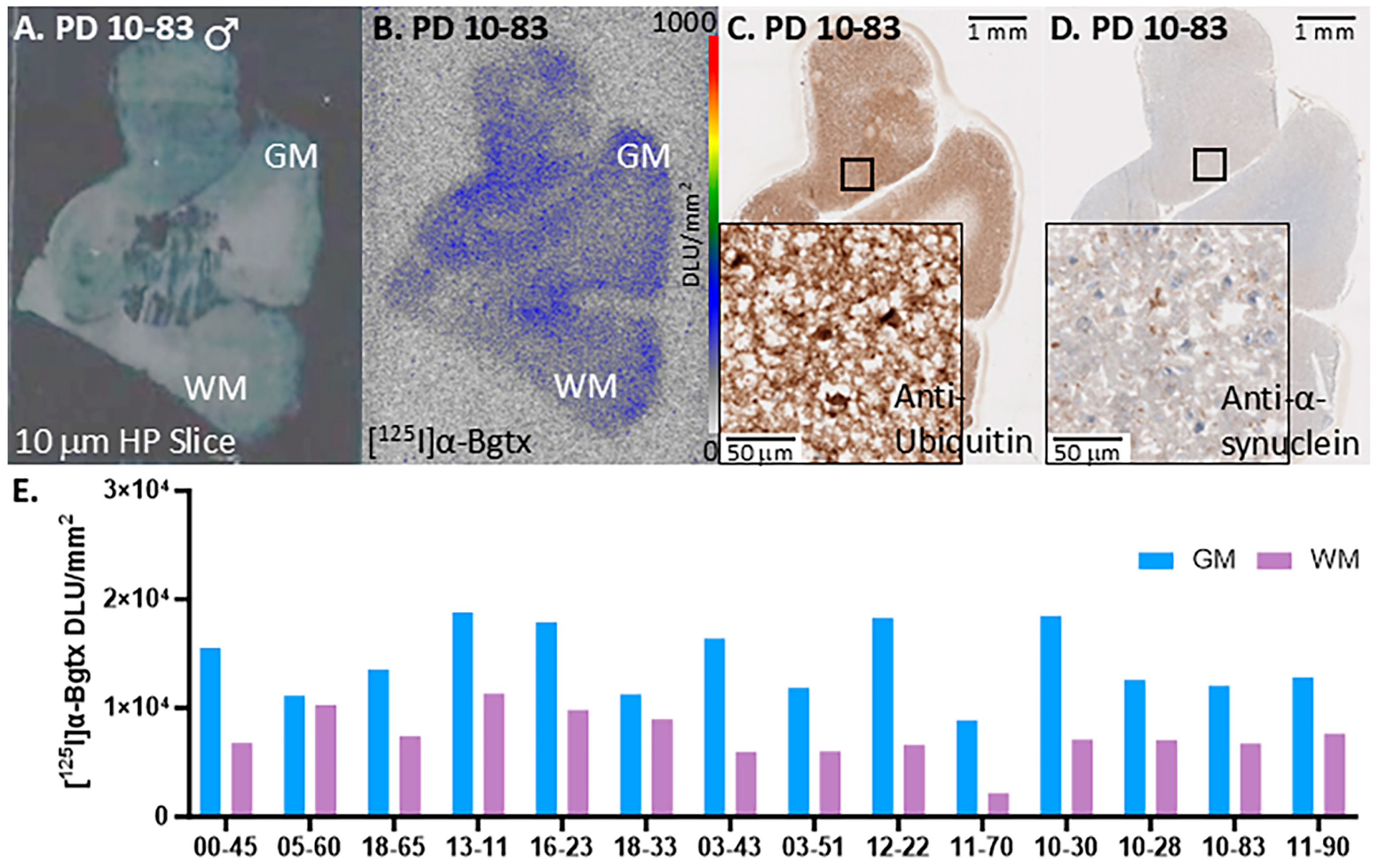 Biomolecules 15 01686 g003