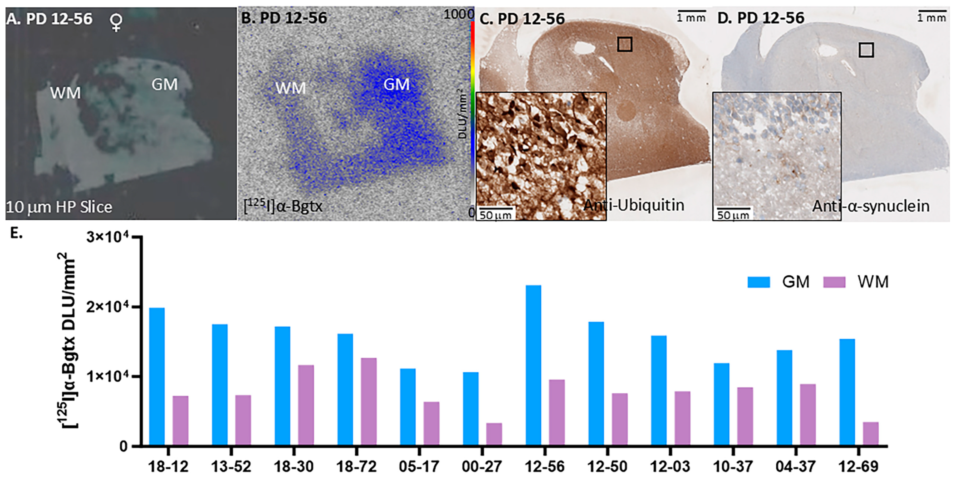 Biomolecules 15 01686 g004