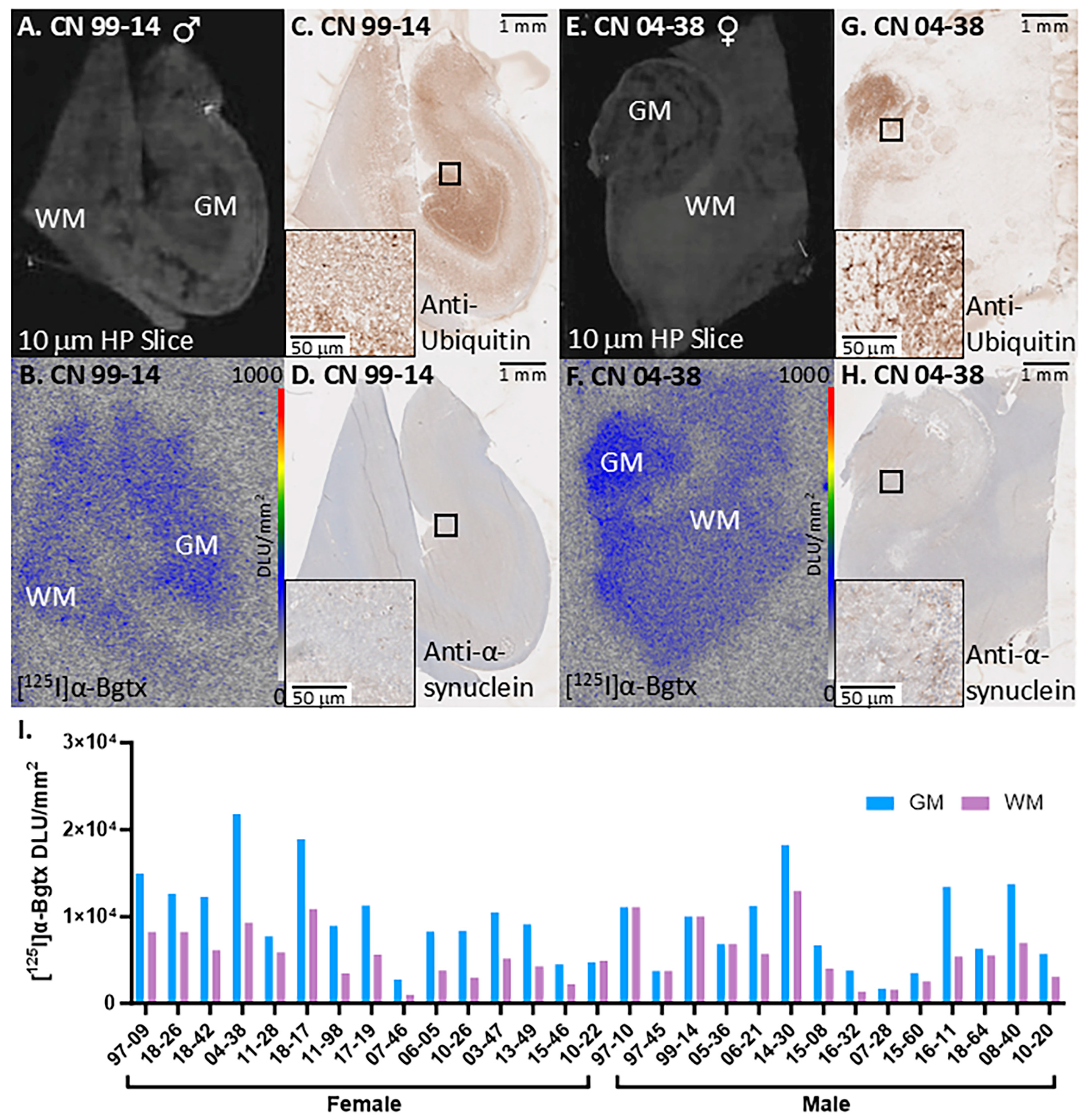 Biomolecules 15 01686 g005
