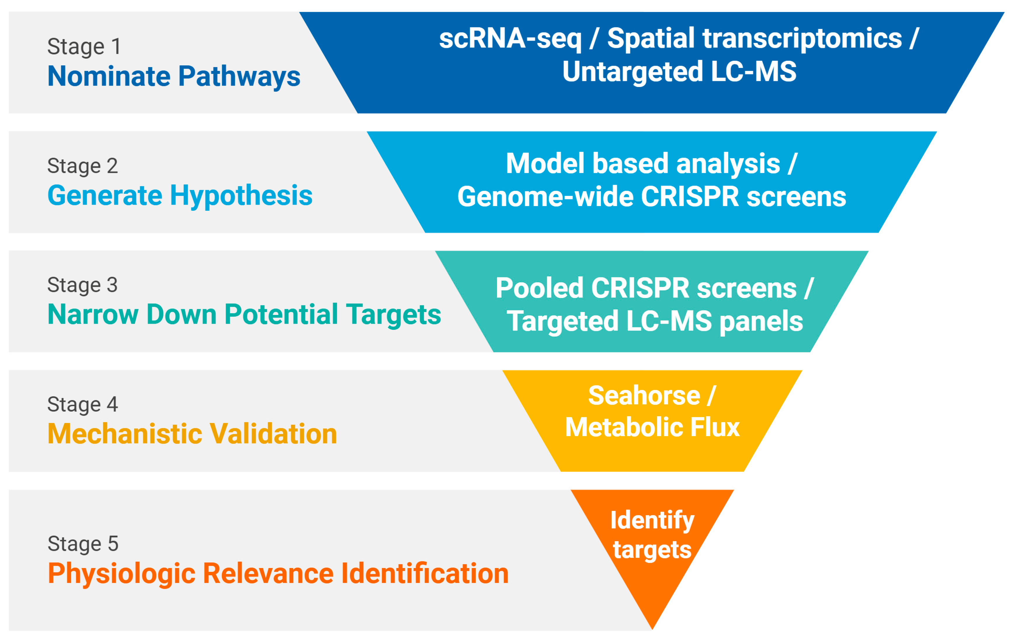 Biomolecules 15 01687 g002