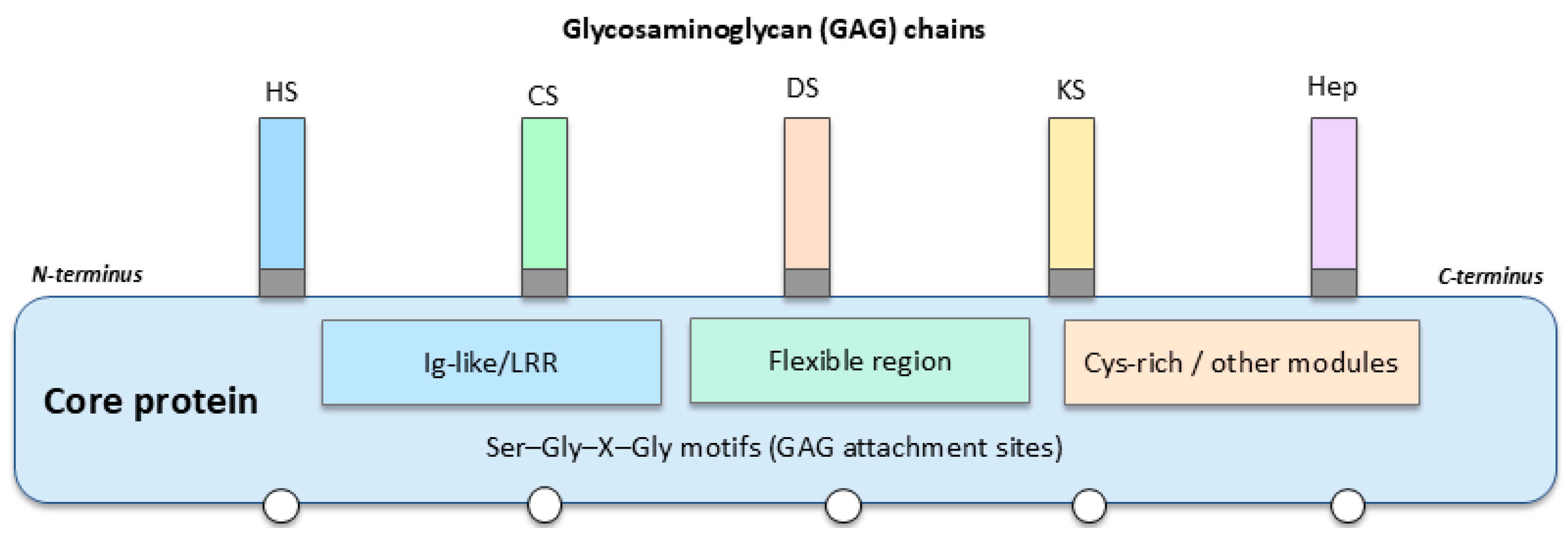 Biomolecules 15 01688 g001