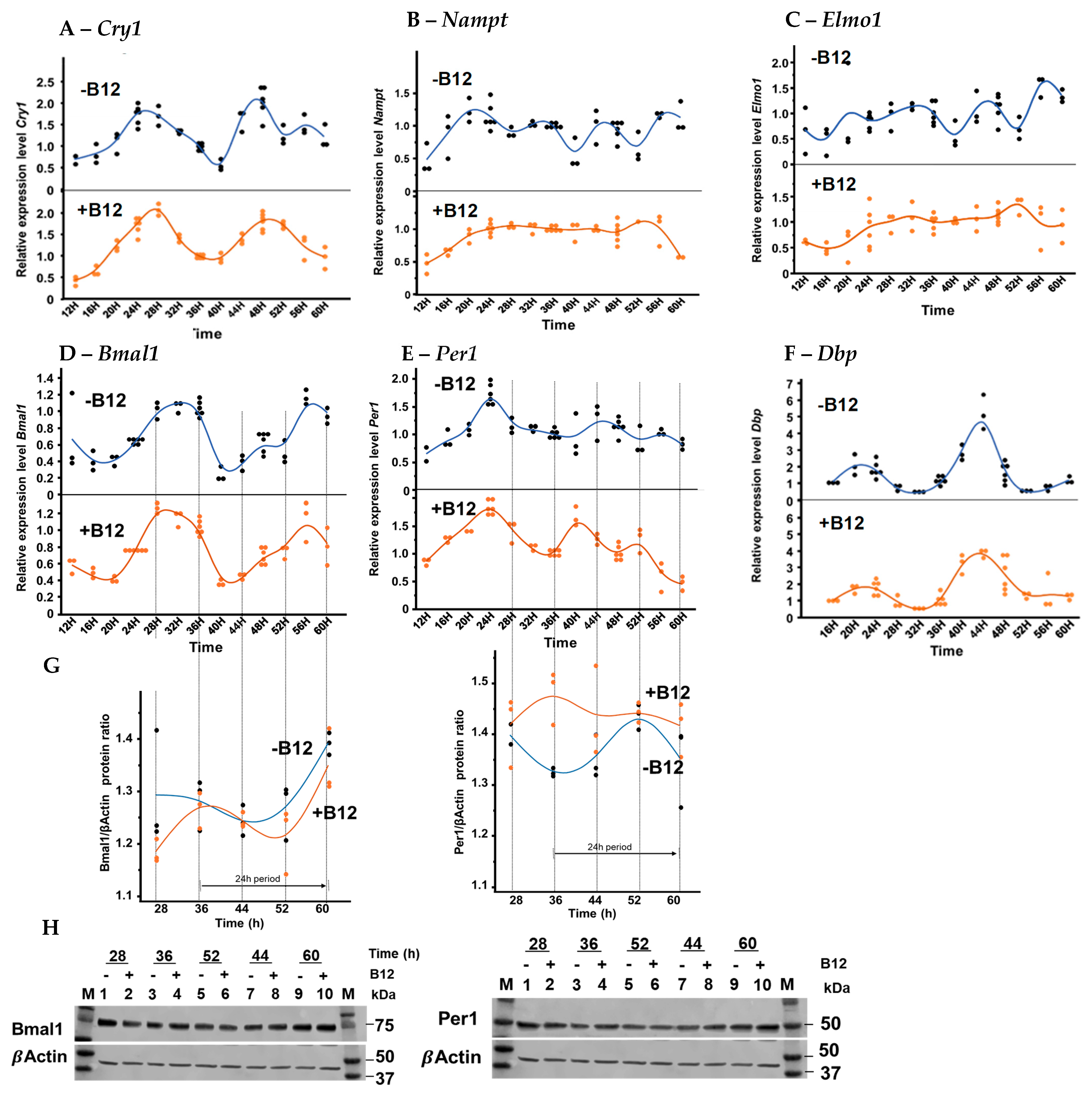 Biomolecules 15 01689 g004 Biomolecules 15 01689 g004
